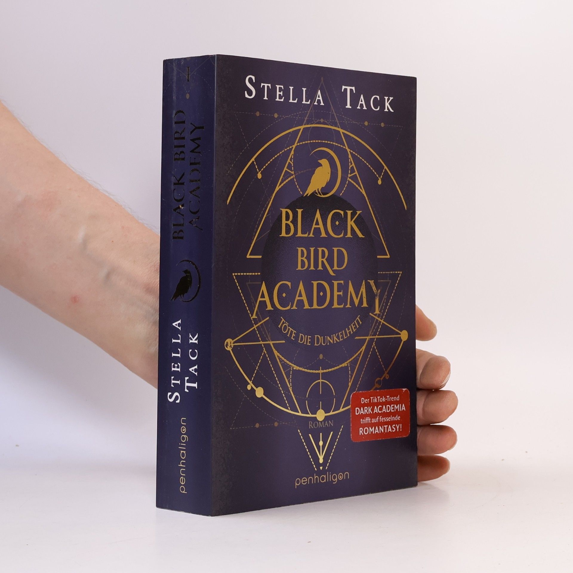 Stella Tack Black Bird Academy - Töte die Dunkelheit