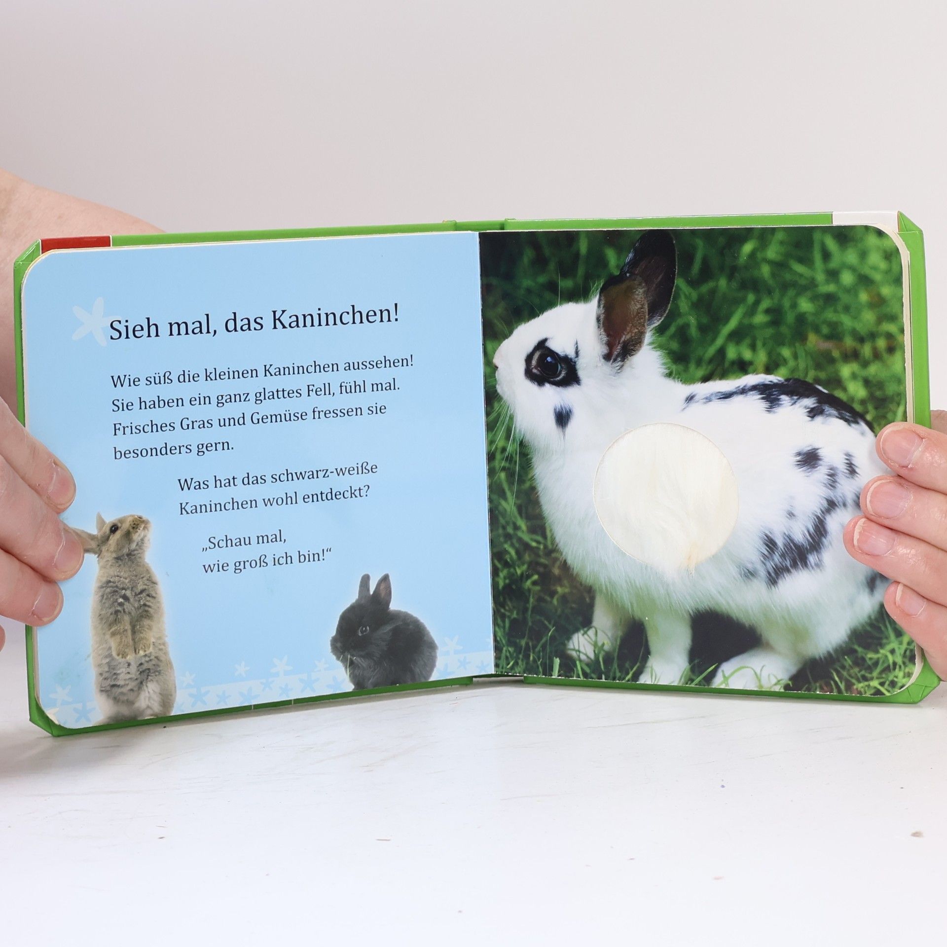 Autorenkollektiv Mein Fühlbuch. Streicheltiere