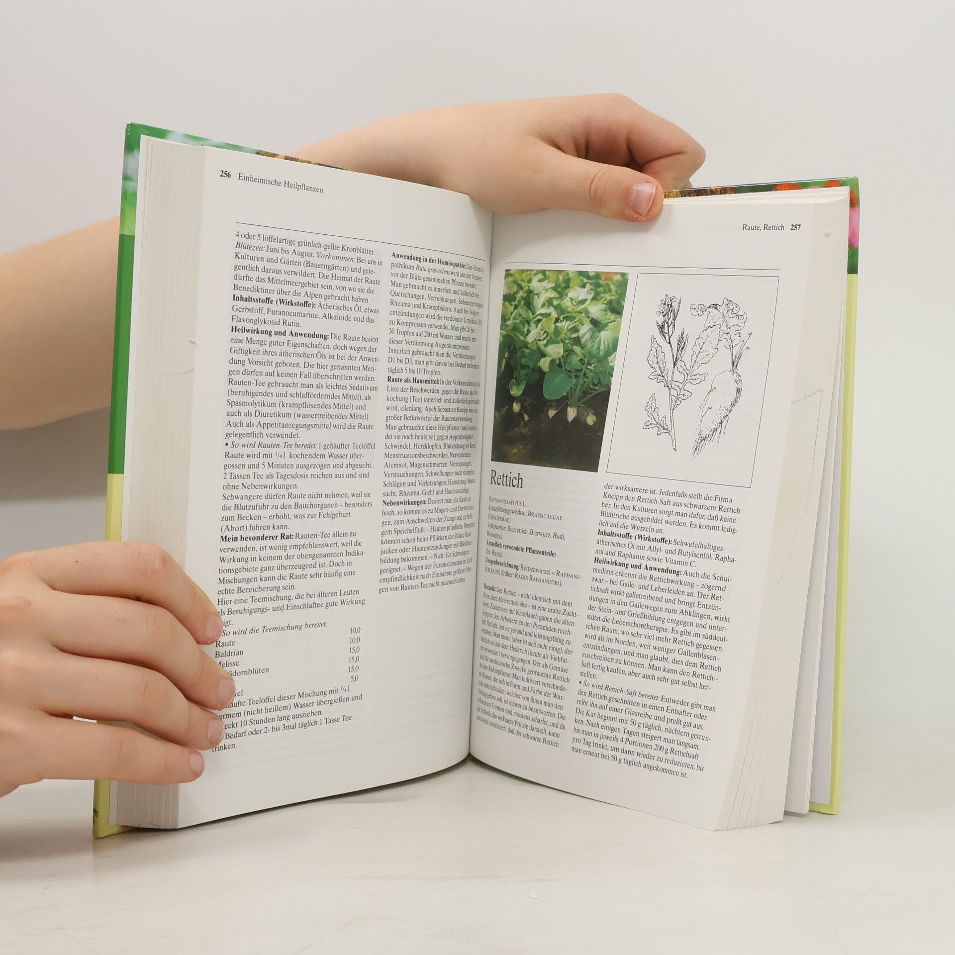 Mannfried Pahlow Das große Buch der Heilpflanzen
