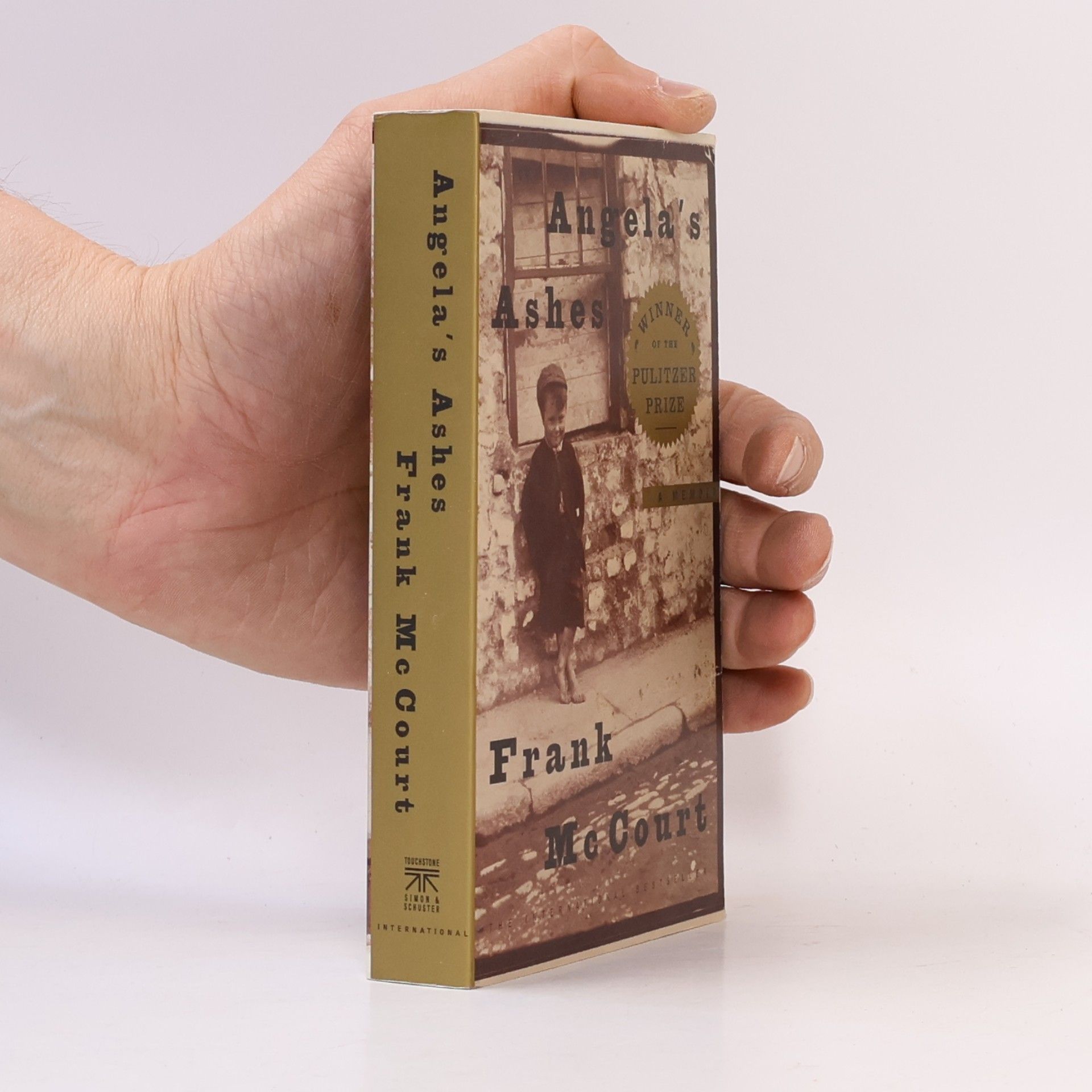Frank McCourt Angela's Ashes