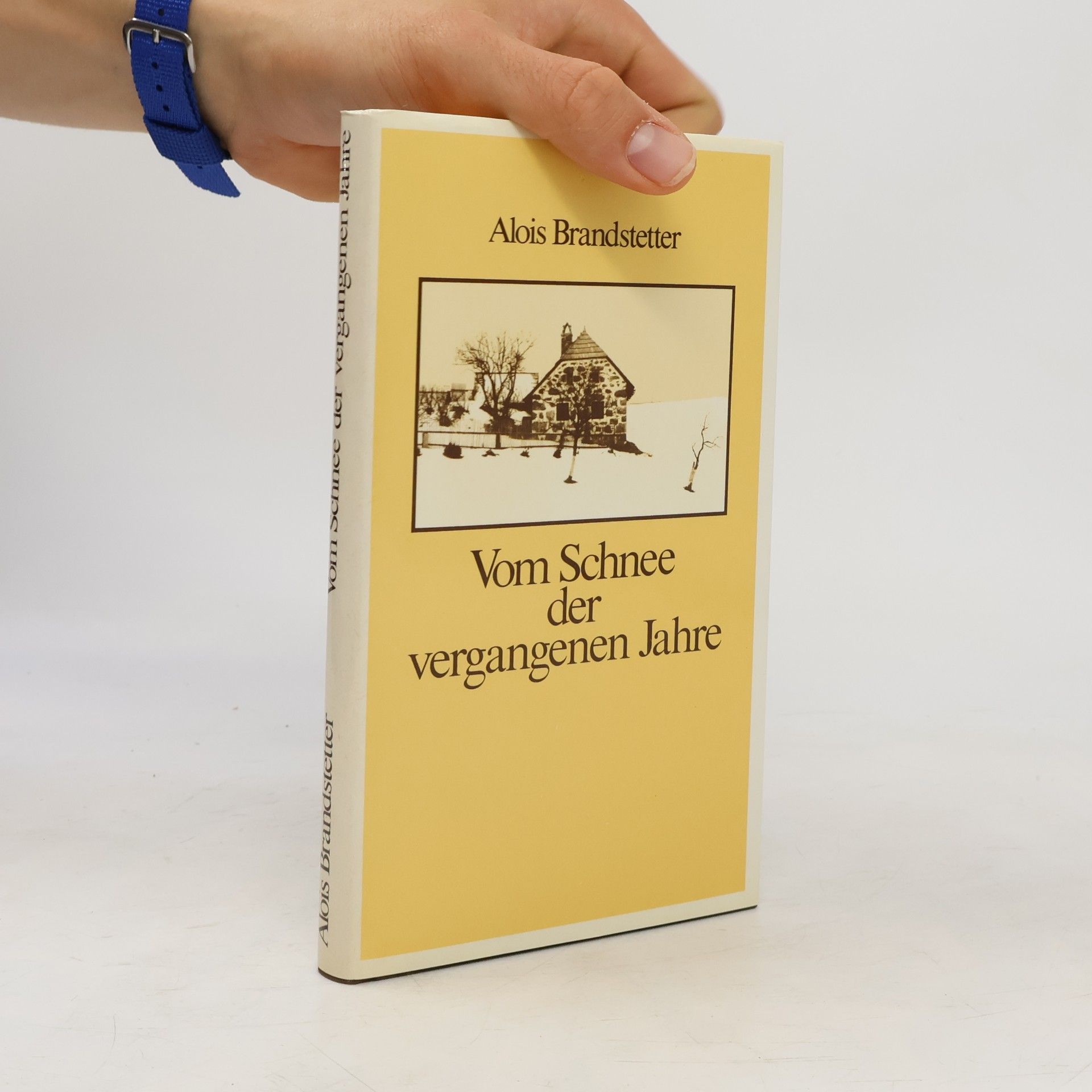 Alois Brandstetter Vom Schnee der vergangenen Jahre
