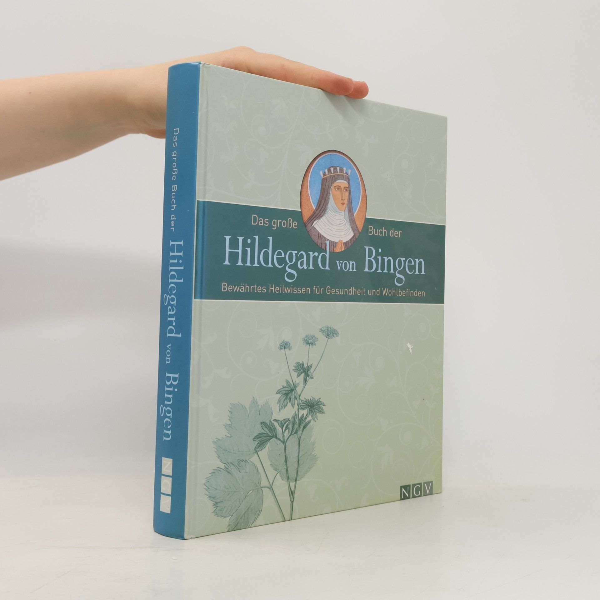 Autorenkollektiv Das große Buch der Hildegard von Bingen