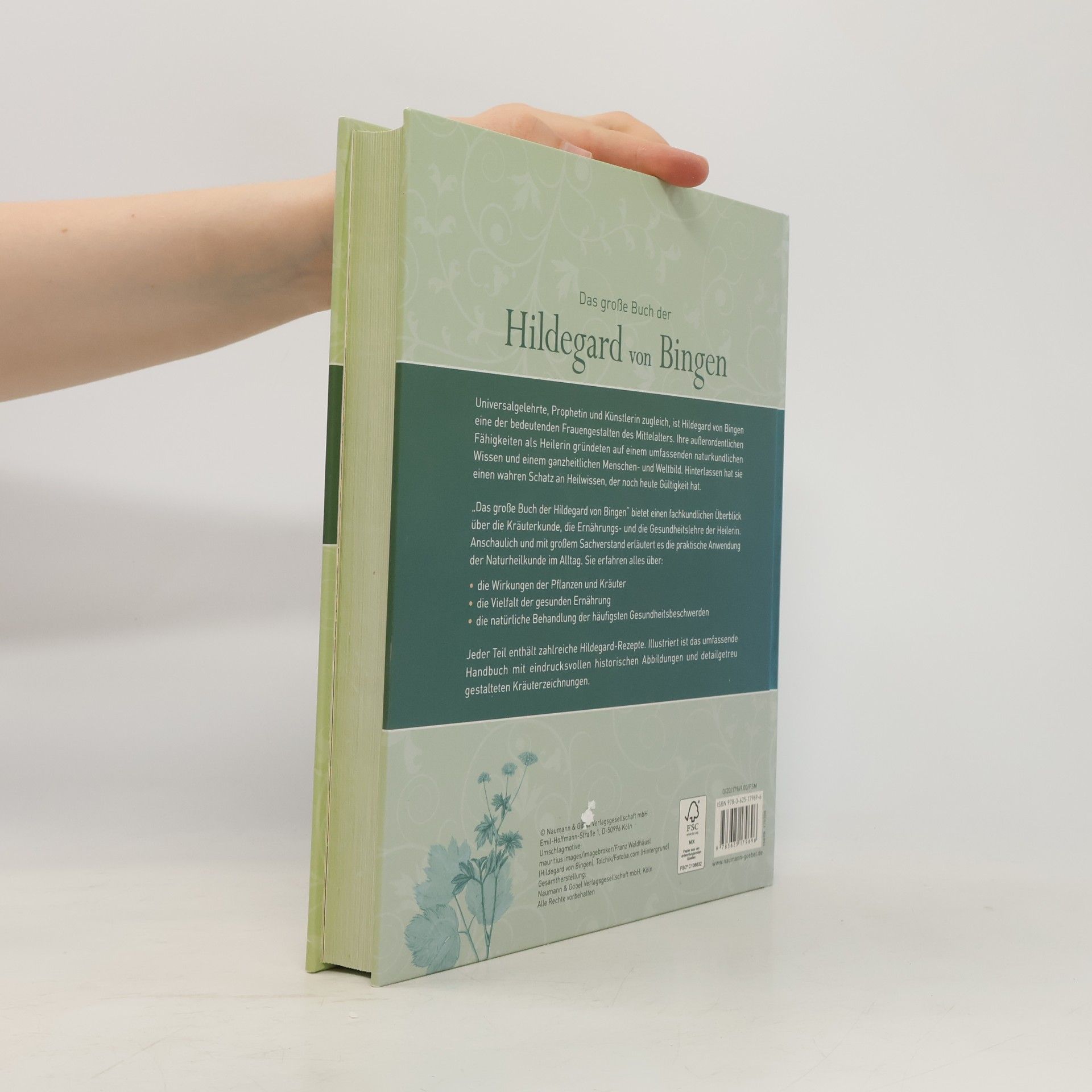 Das große Buch der Hildegard von Bingen