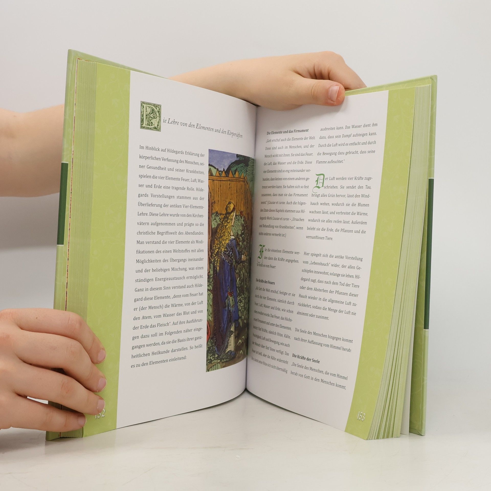 Das große Buch der Hildegard von Bingen