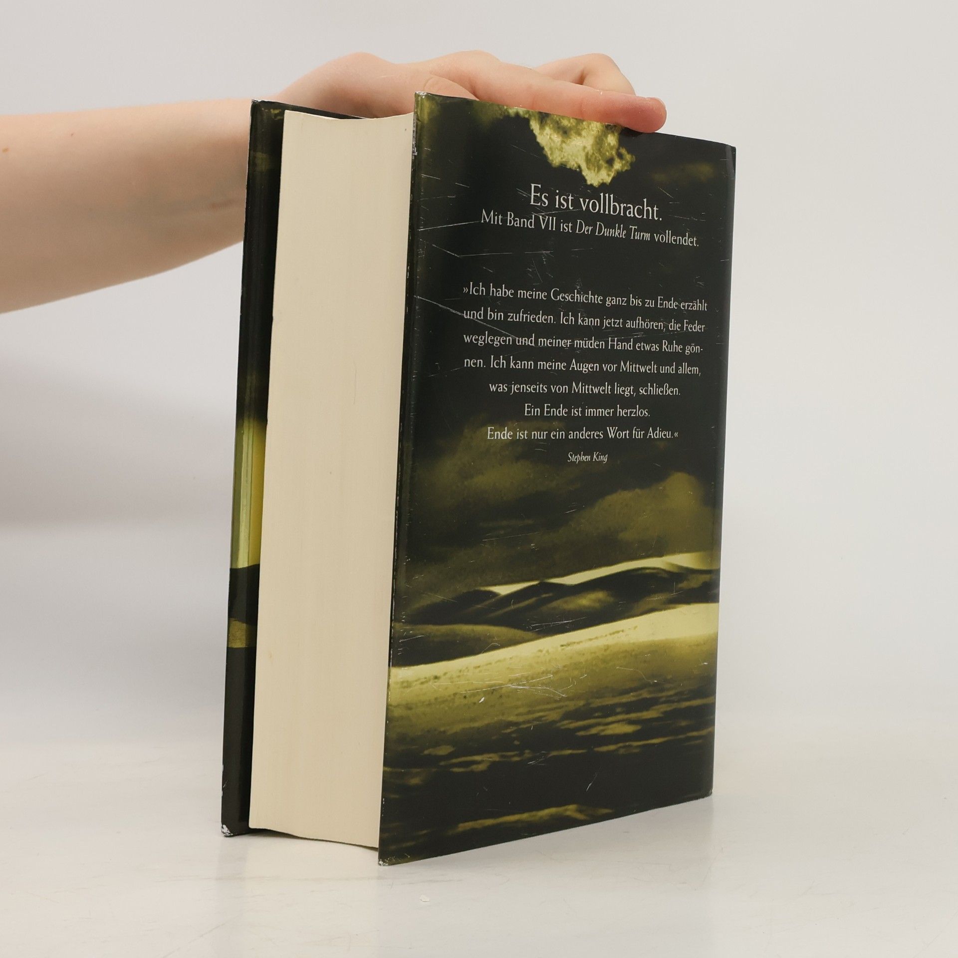 Stephen King Der dunkle Turm VII