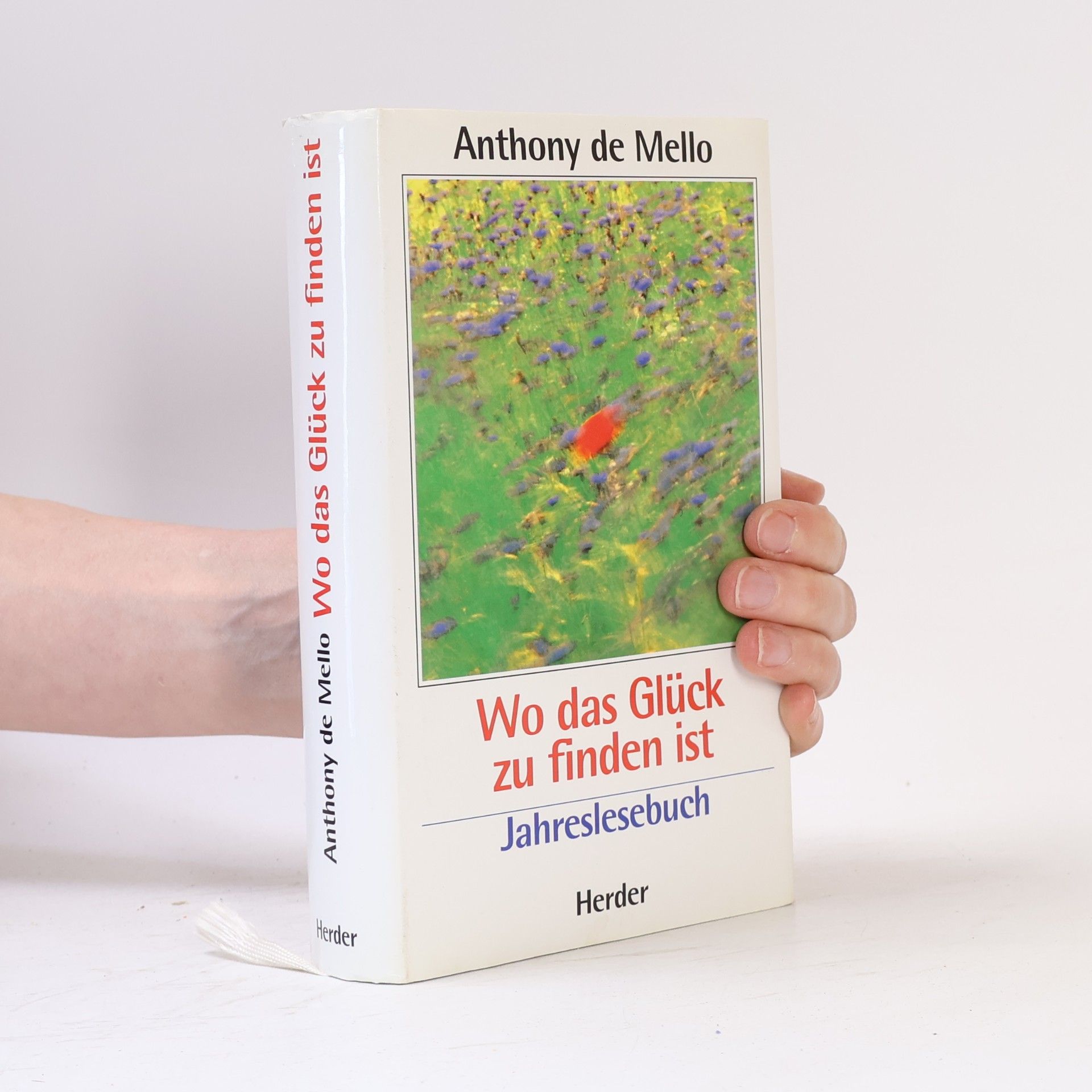 Anthony De Mello Wo das Glück zu finden ist