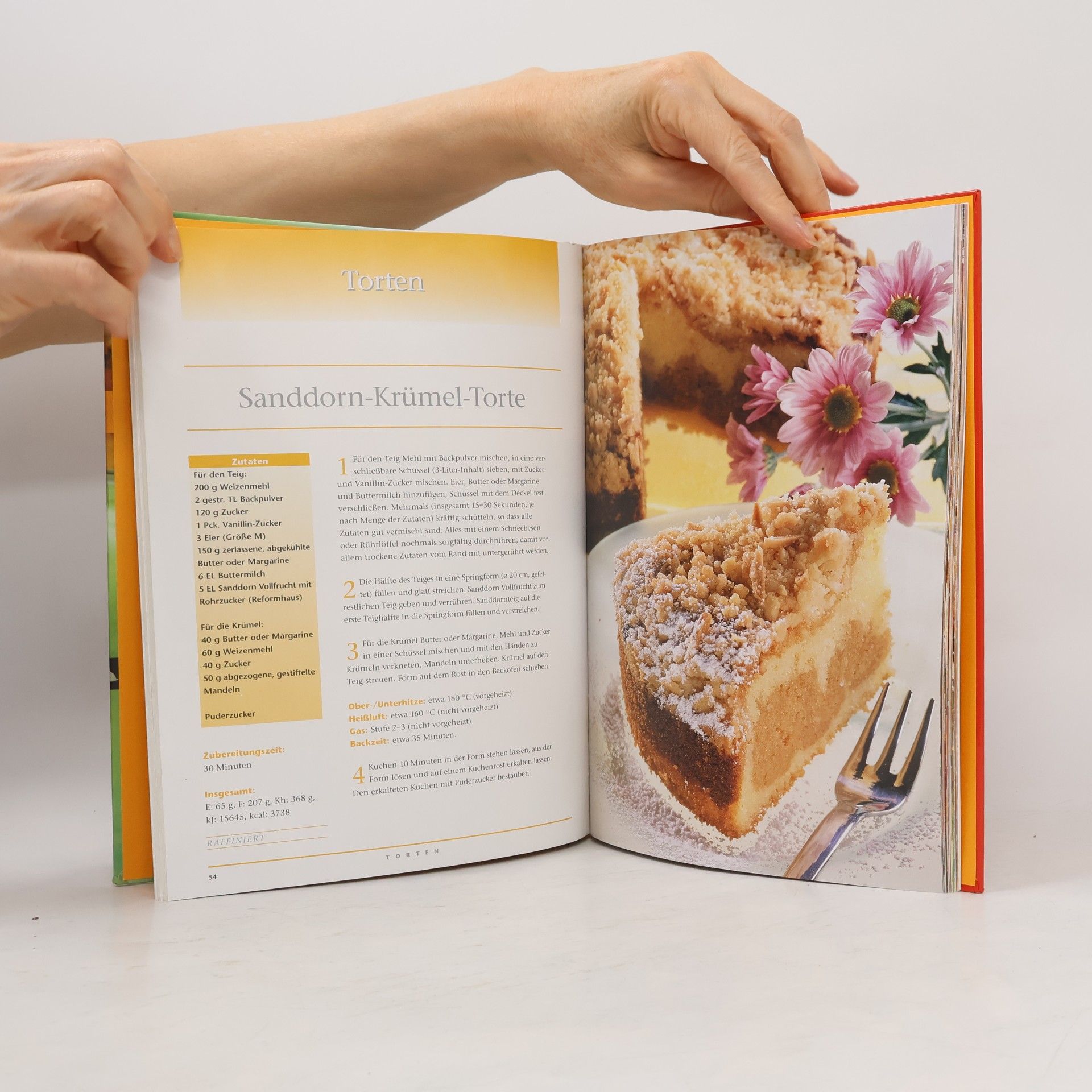 Autores varios Schüttelkuchen; Schüttel-, Becher- und Tassenkuchen