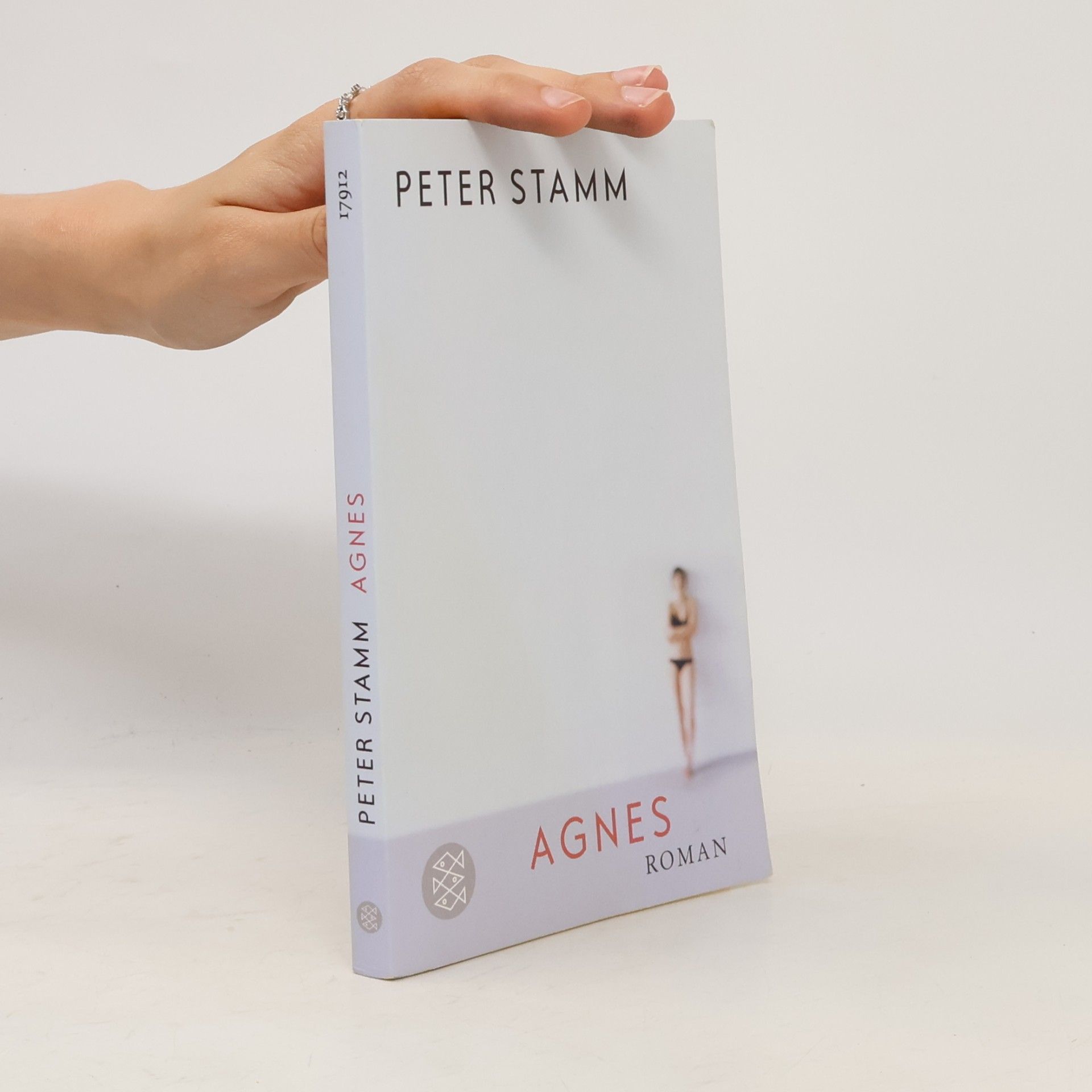 Peter Stamm Agnes