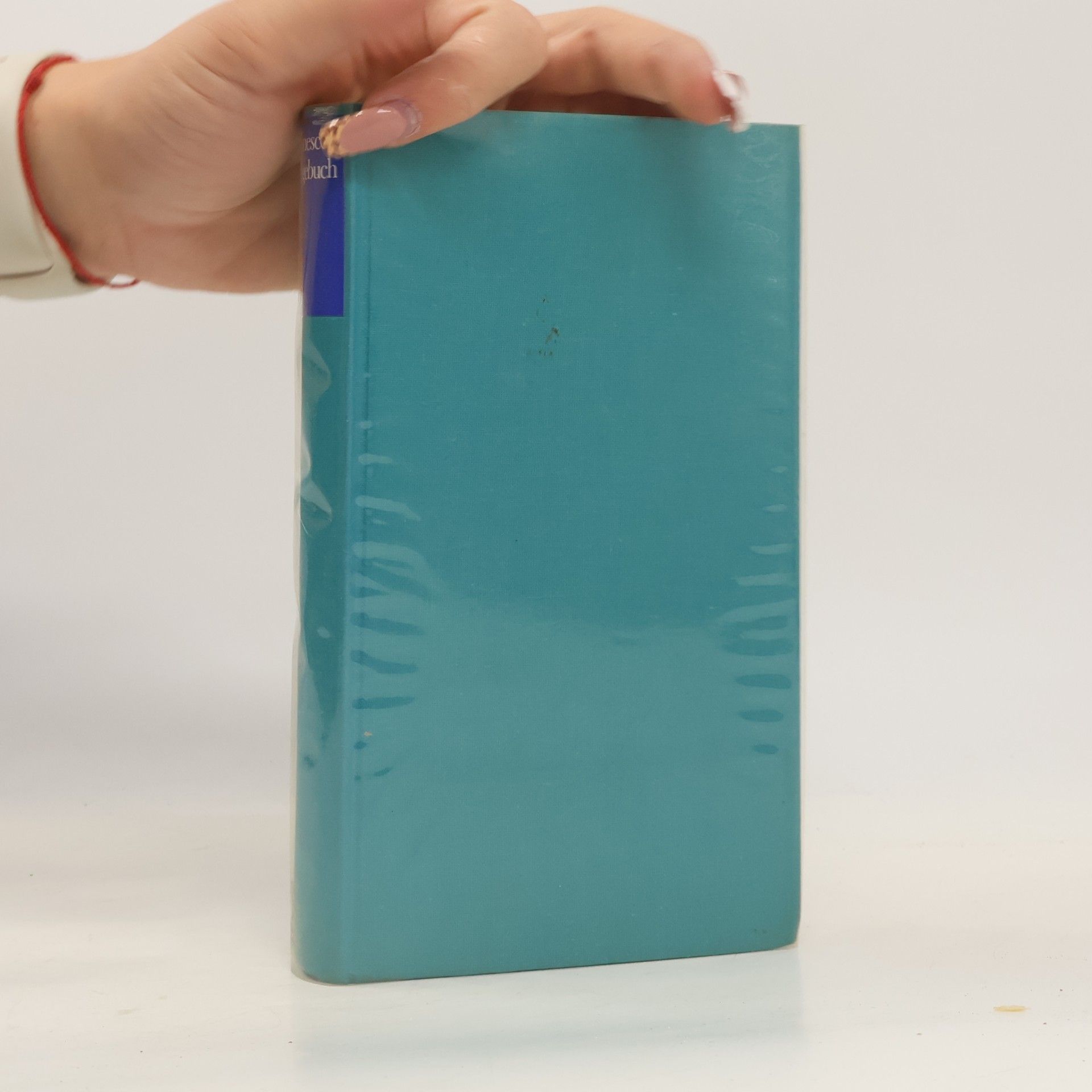 Tagebuch. Journal en miettes