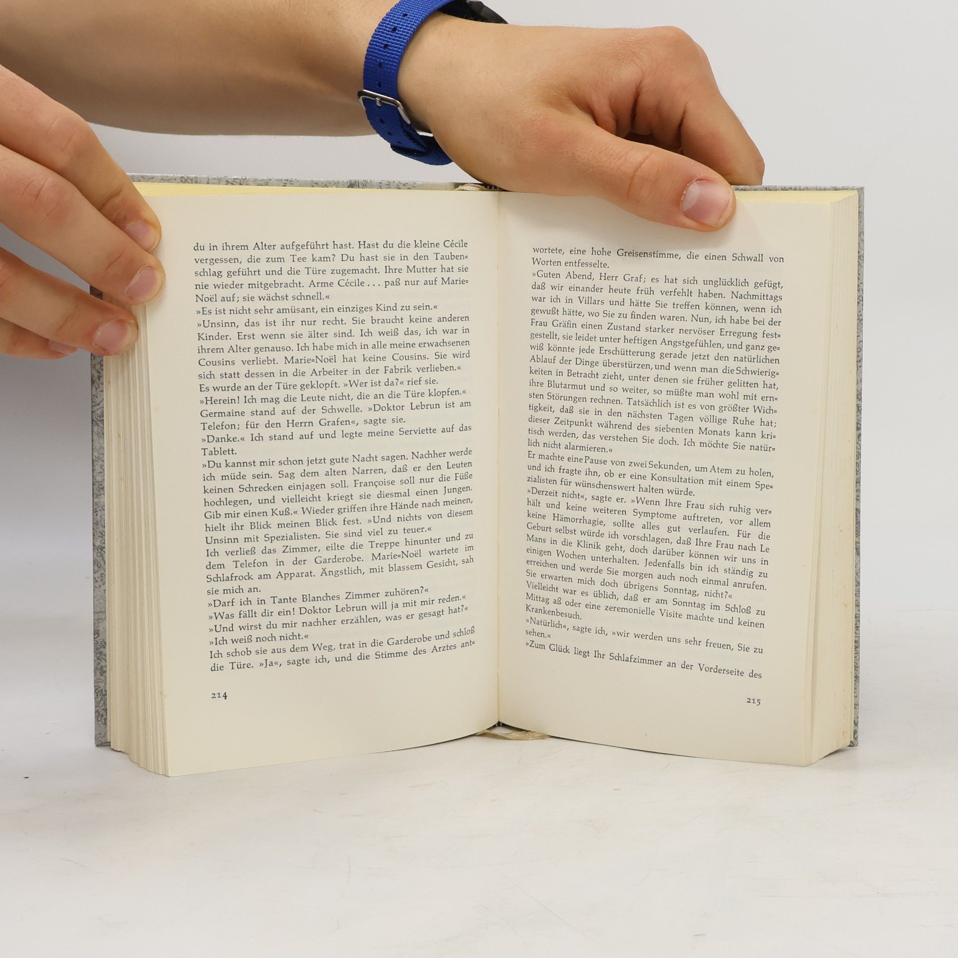 Daphne Du Maurier Der Sündenbock