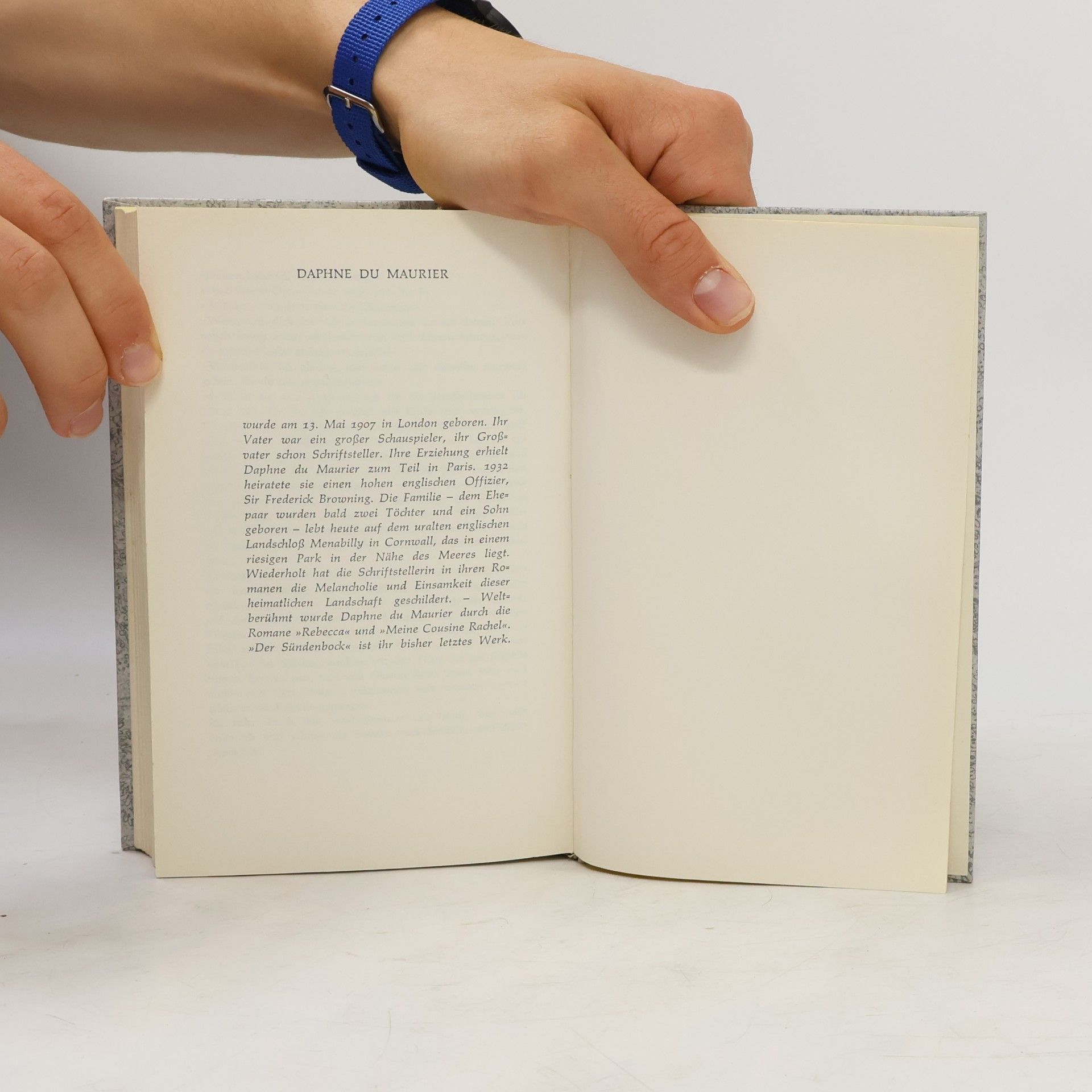 Daphne Du Maurier Der Sündenbock