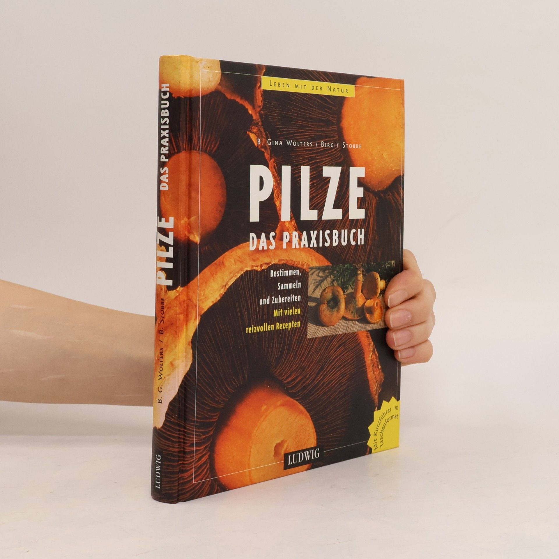Birgit Wolters Pilze