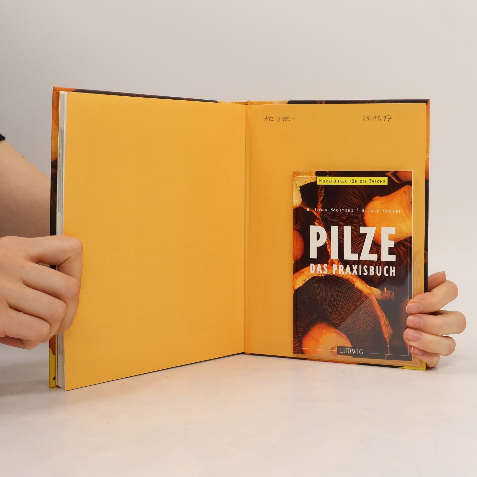 Birgit Wolters Pilze