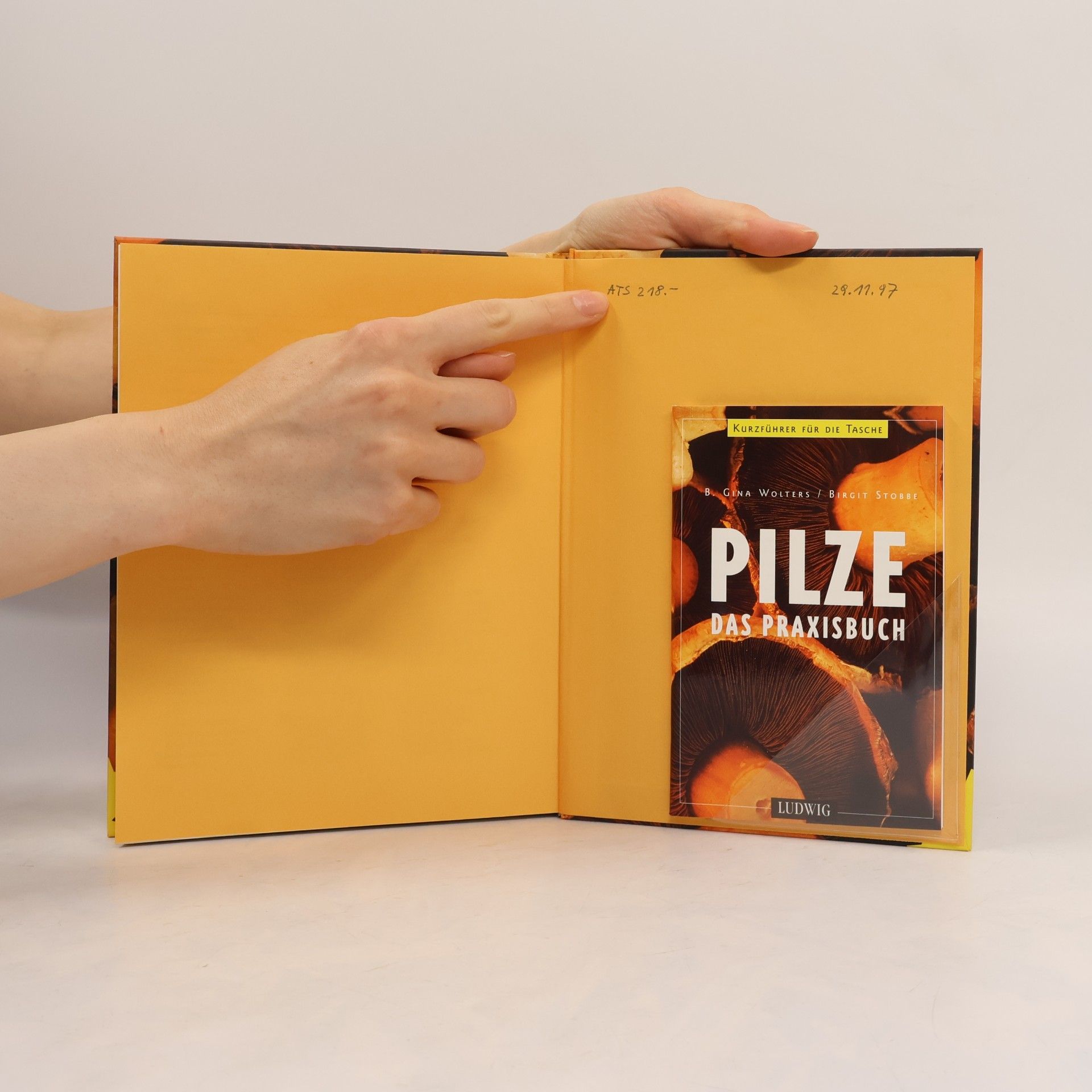 Birgit Wolters Pilze