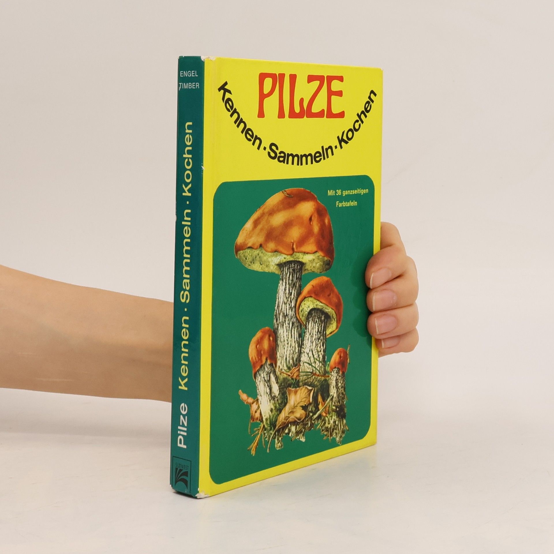Pilze kennen, sammeln, kochen
