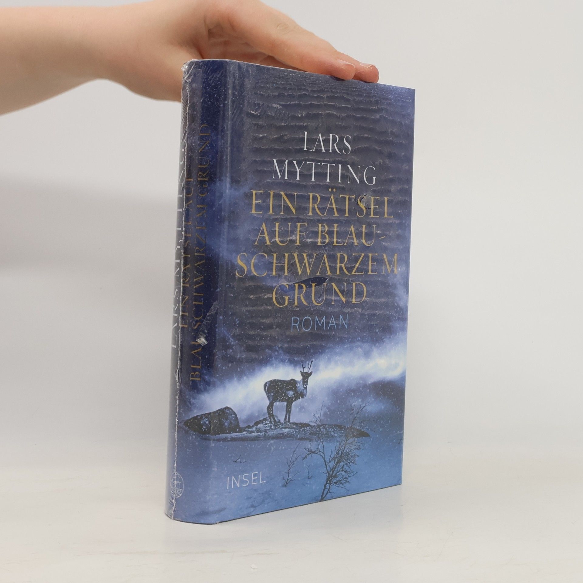 Lars Mytting Ein Rätsel auf blauschwarzem Grund