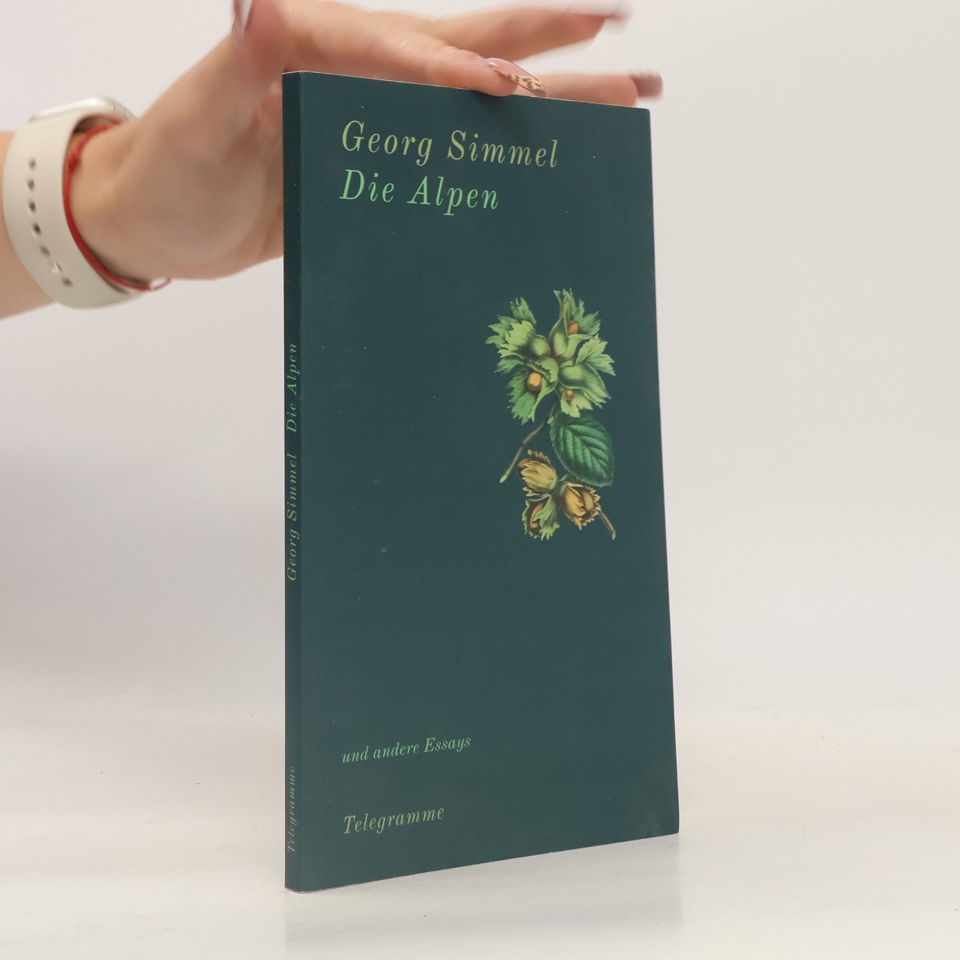Georg Simmel Die Alpen und andere Essays
