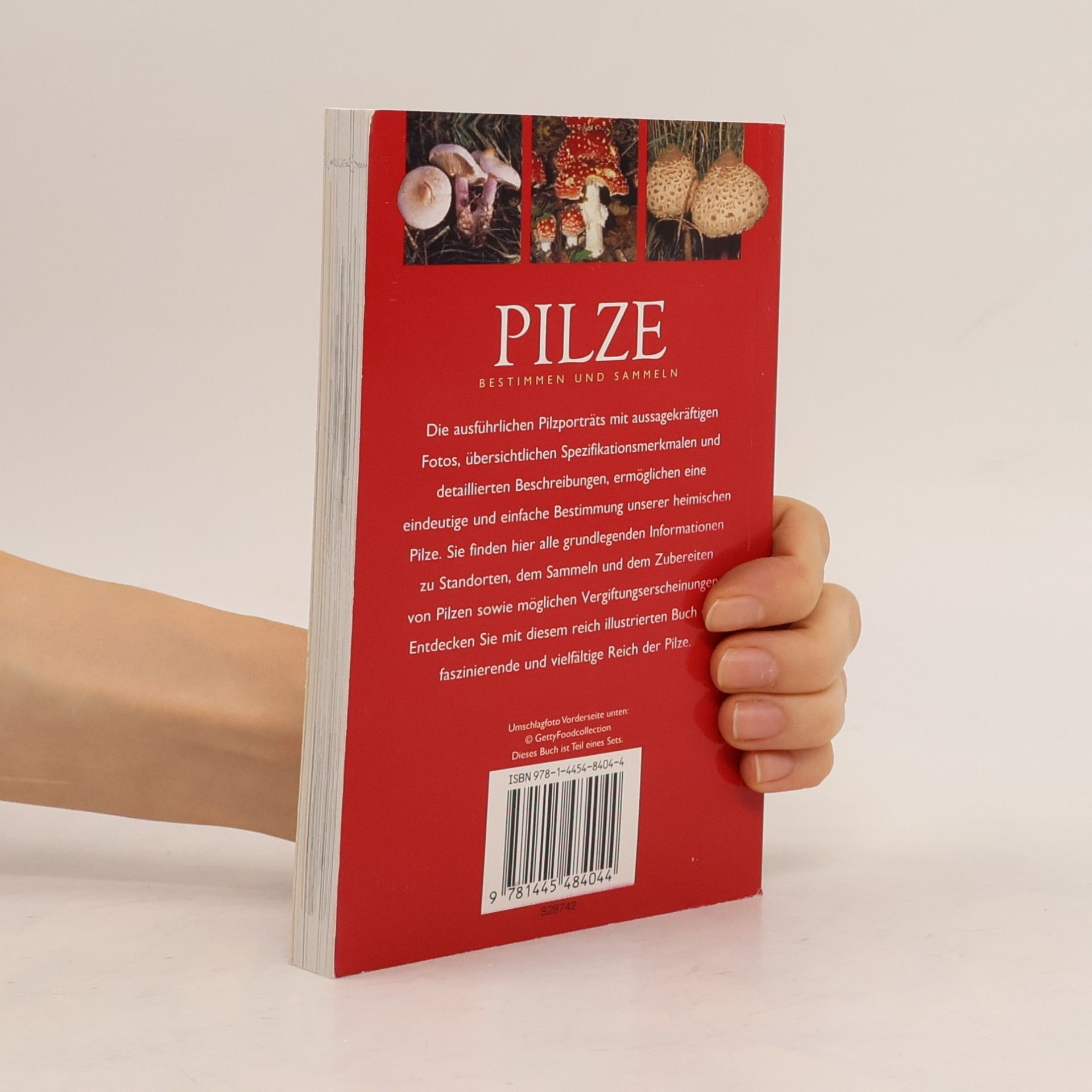 Till R. Lohmeyer Pilze, m. Pilzmesser