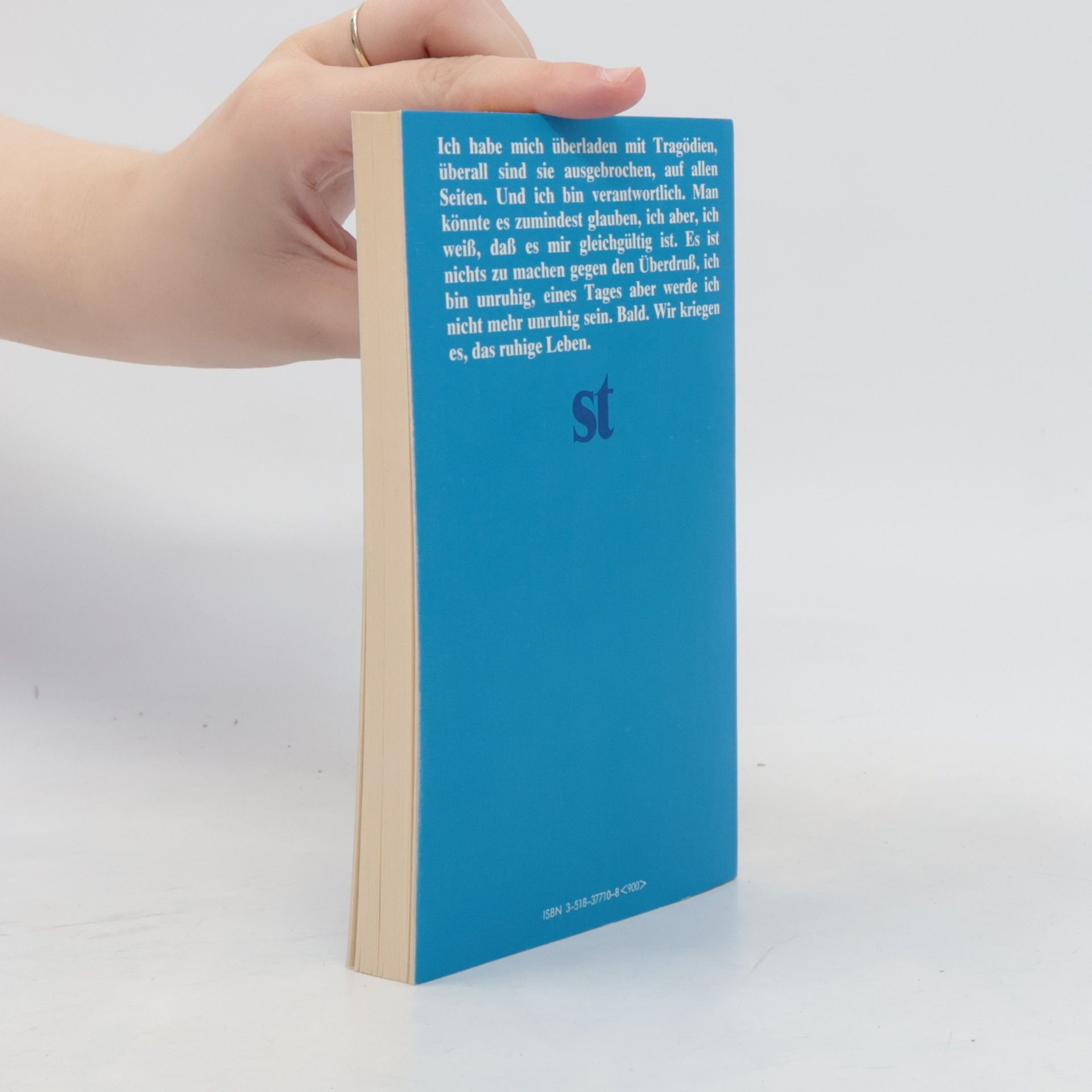 Marguerite Duras Ein ruhiges Leben. Roman