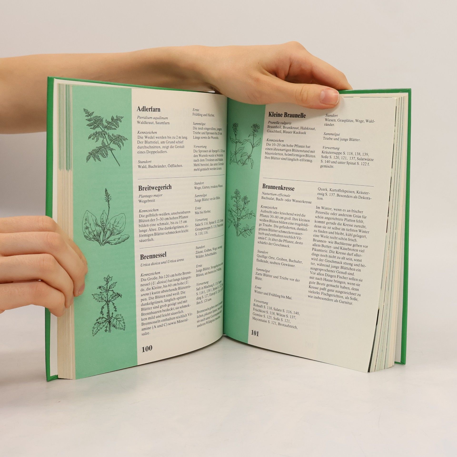 Erna Horn Wildfrüchte und Pilze in der Küche