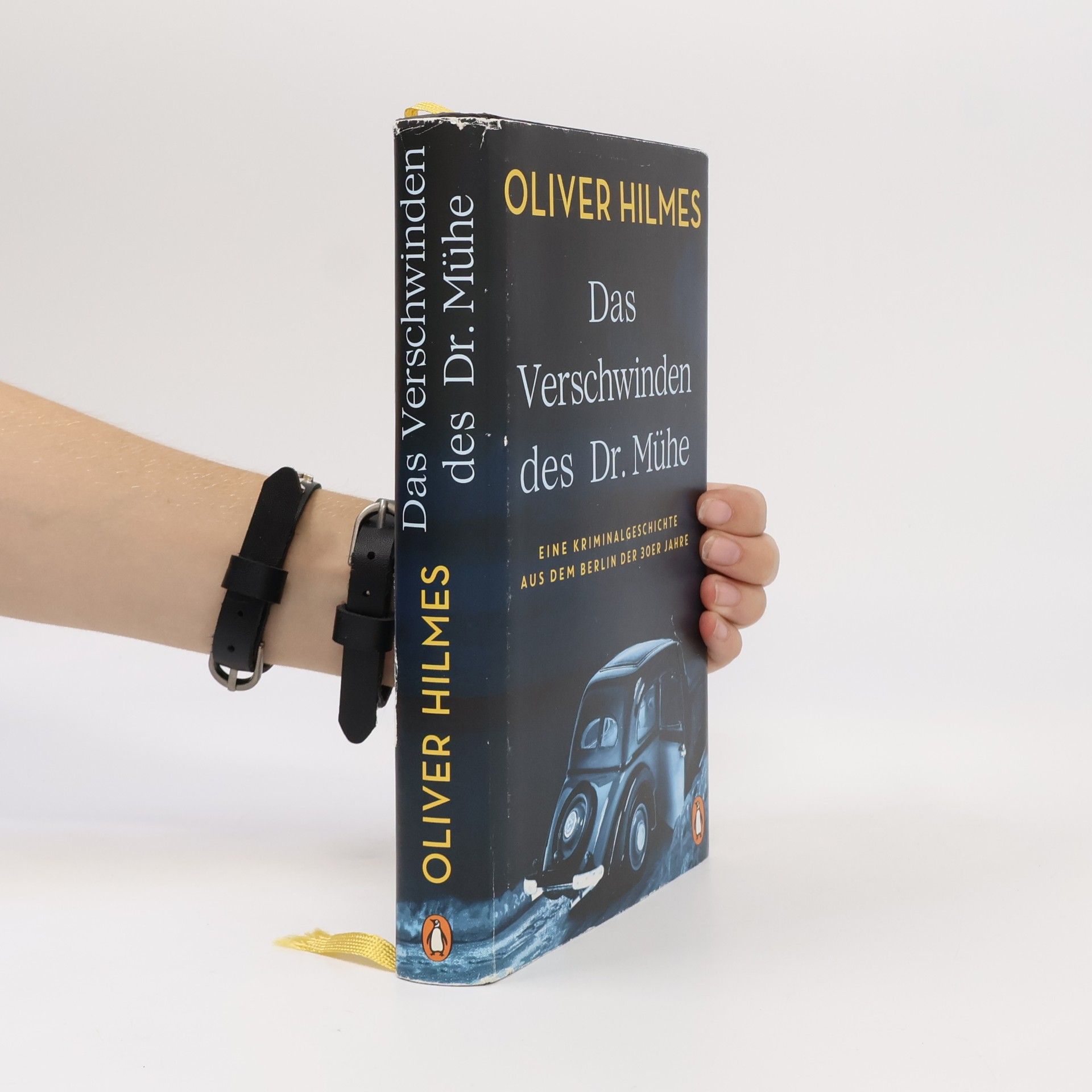Oliver Hilmes Das Verschwinden des Dr. Mühe
