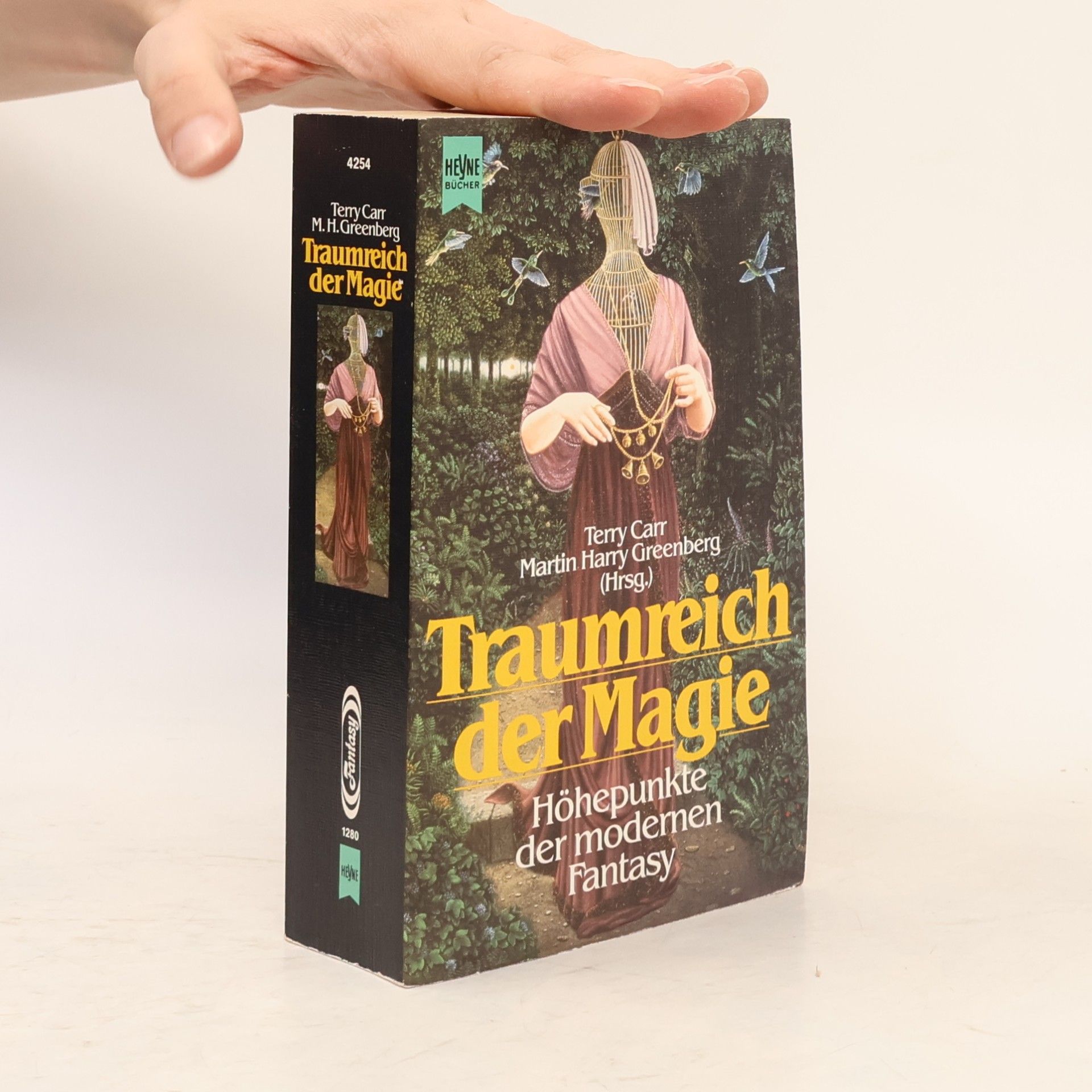 Terry Carr Traumreich der Magie