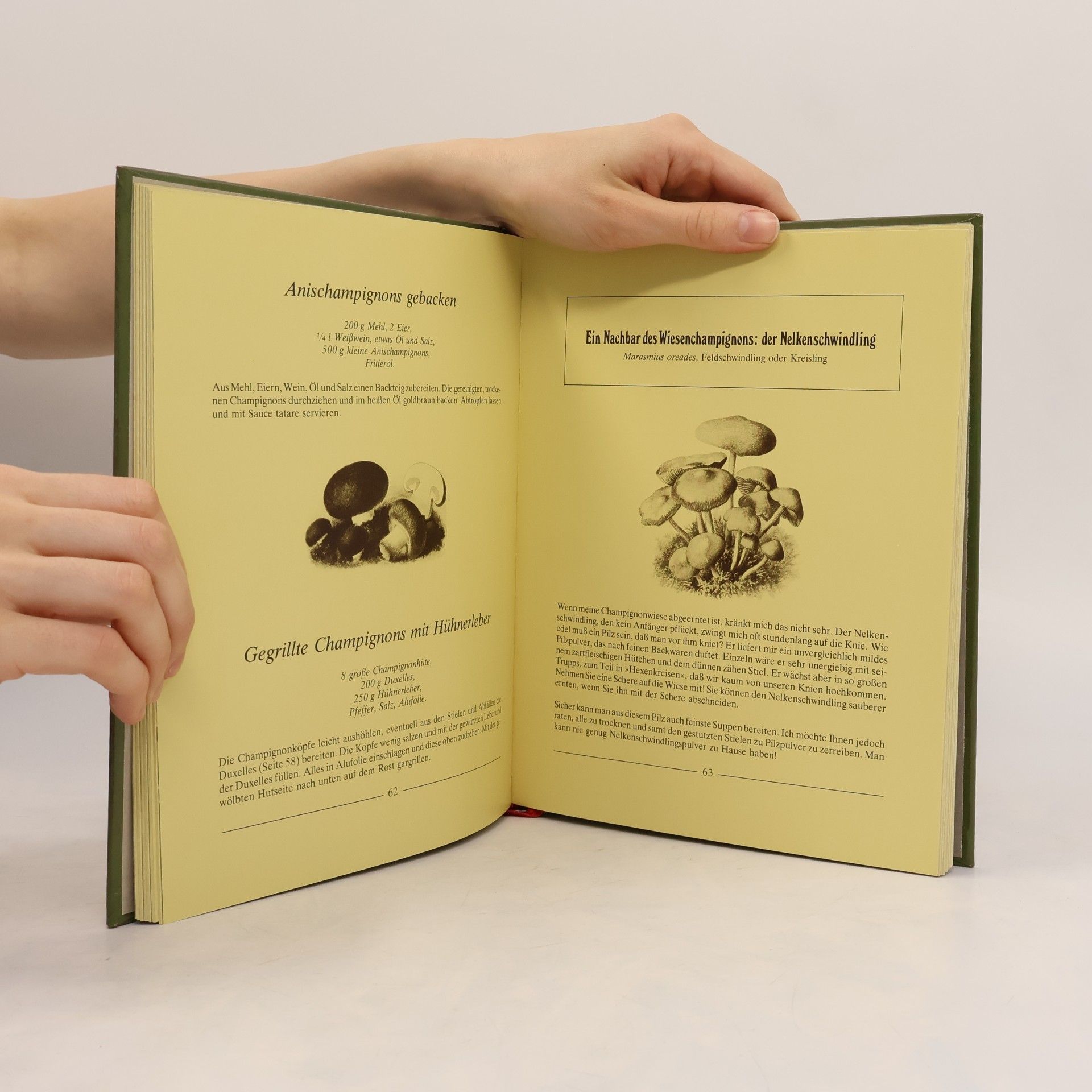Luce Hollthaler Pilz-Delikatessen