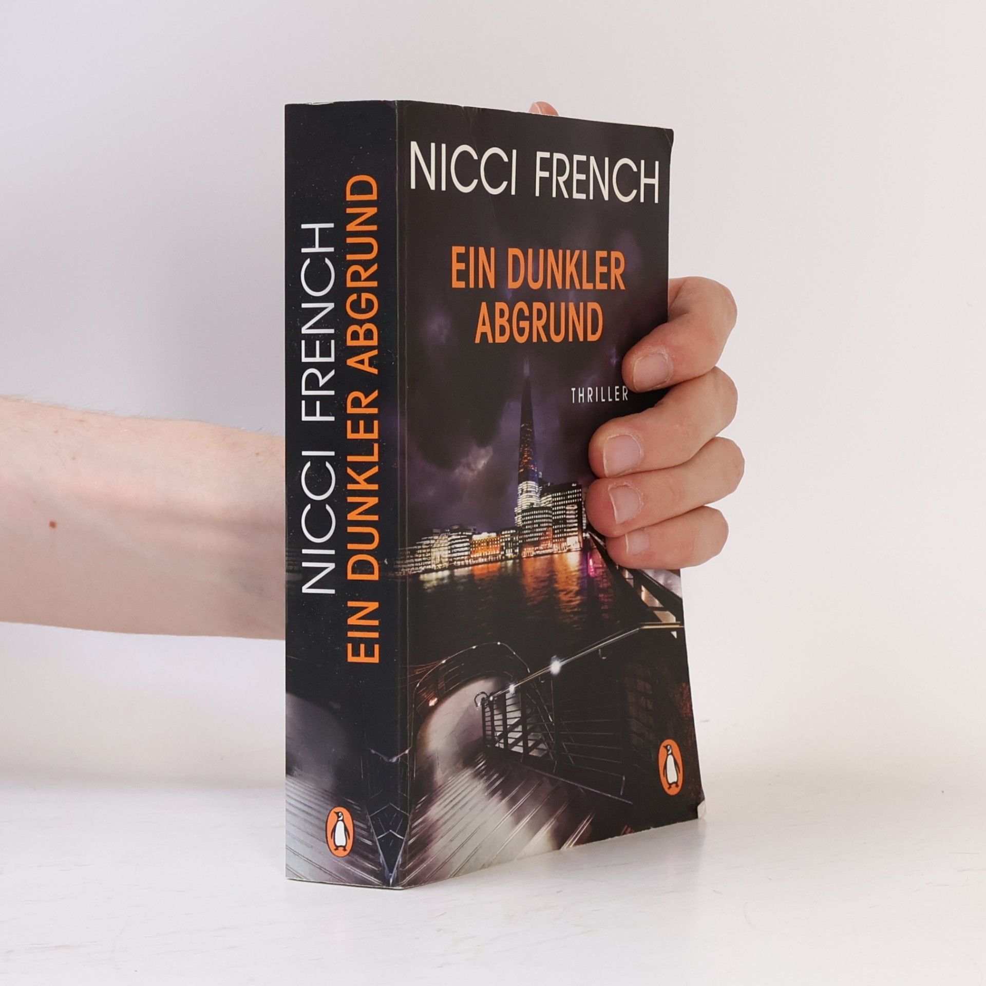 Nicci French Ein dunkler Abgrund