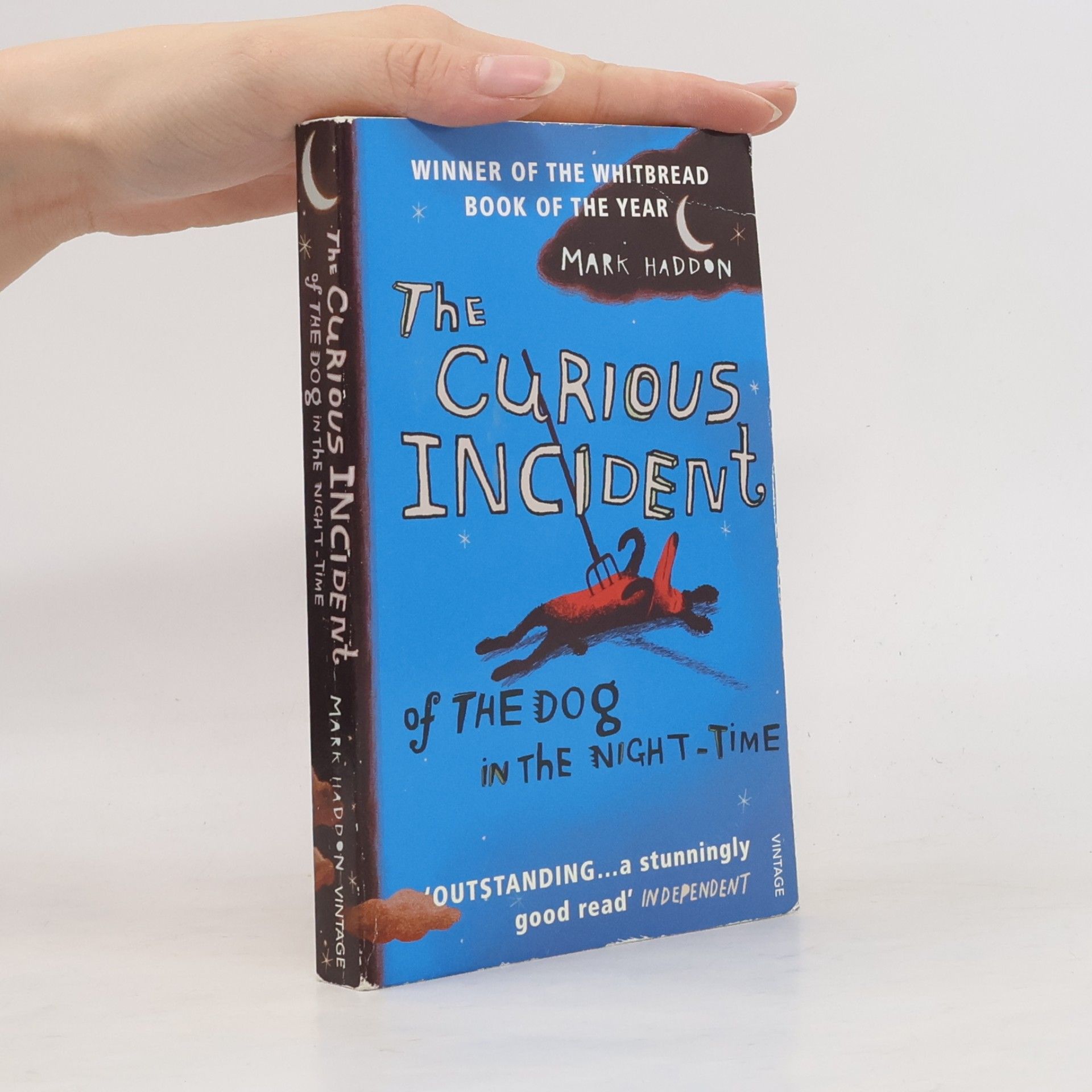 Mark Haddon The Curious Incident of The Dog in The Night-Time