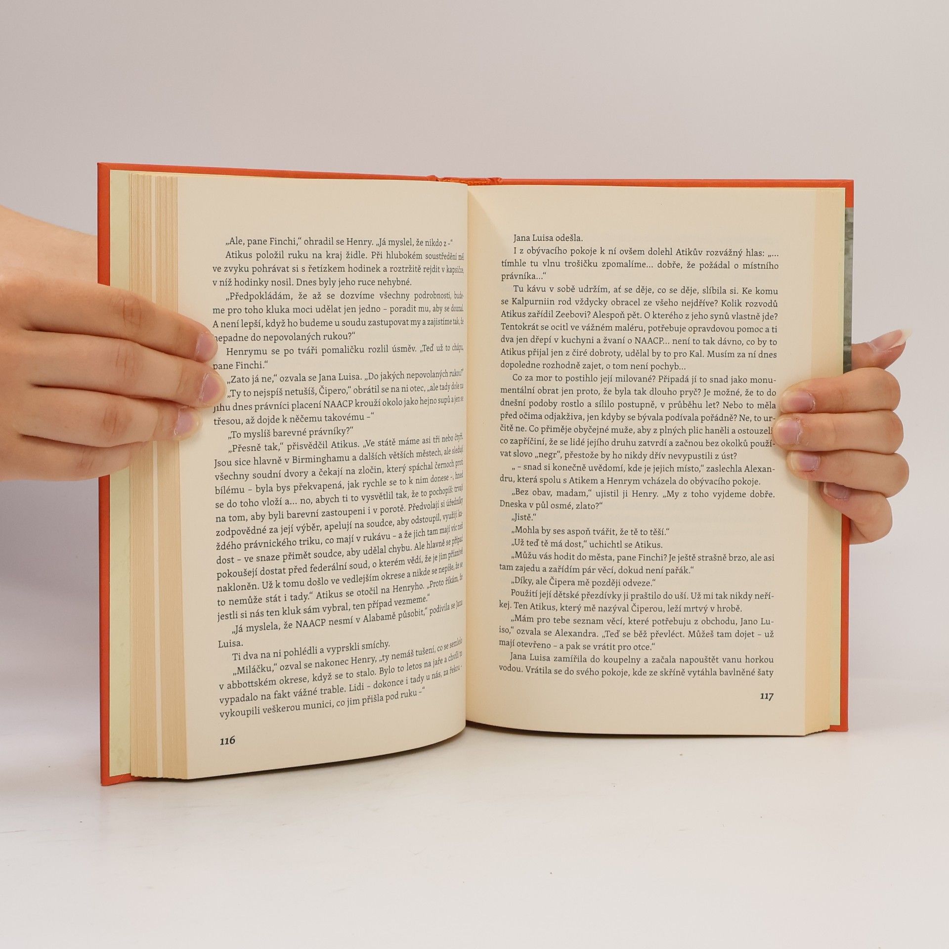 Harper Lee Postav hlídku