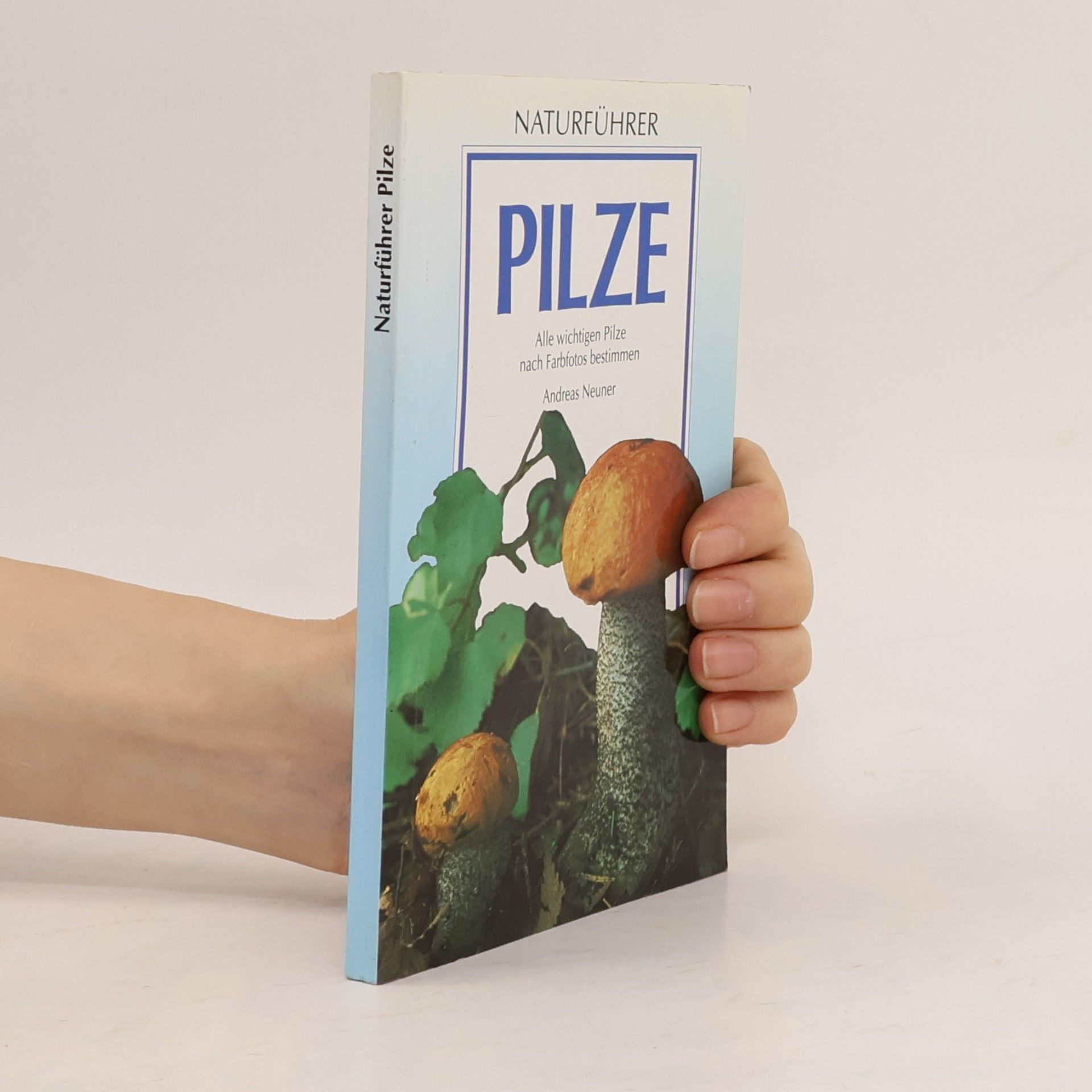 Andreas Neuner Pilze