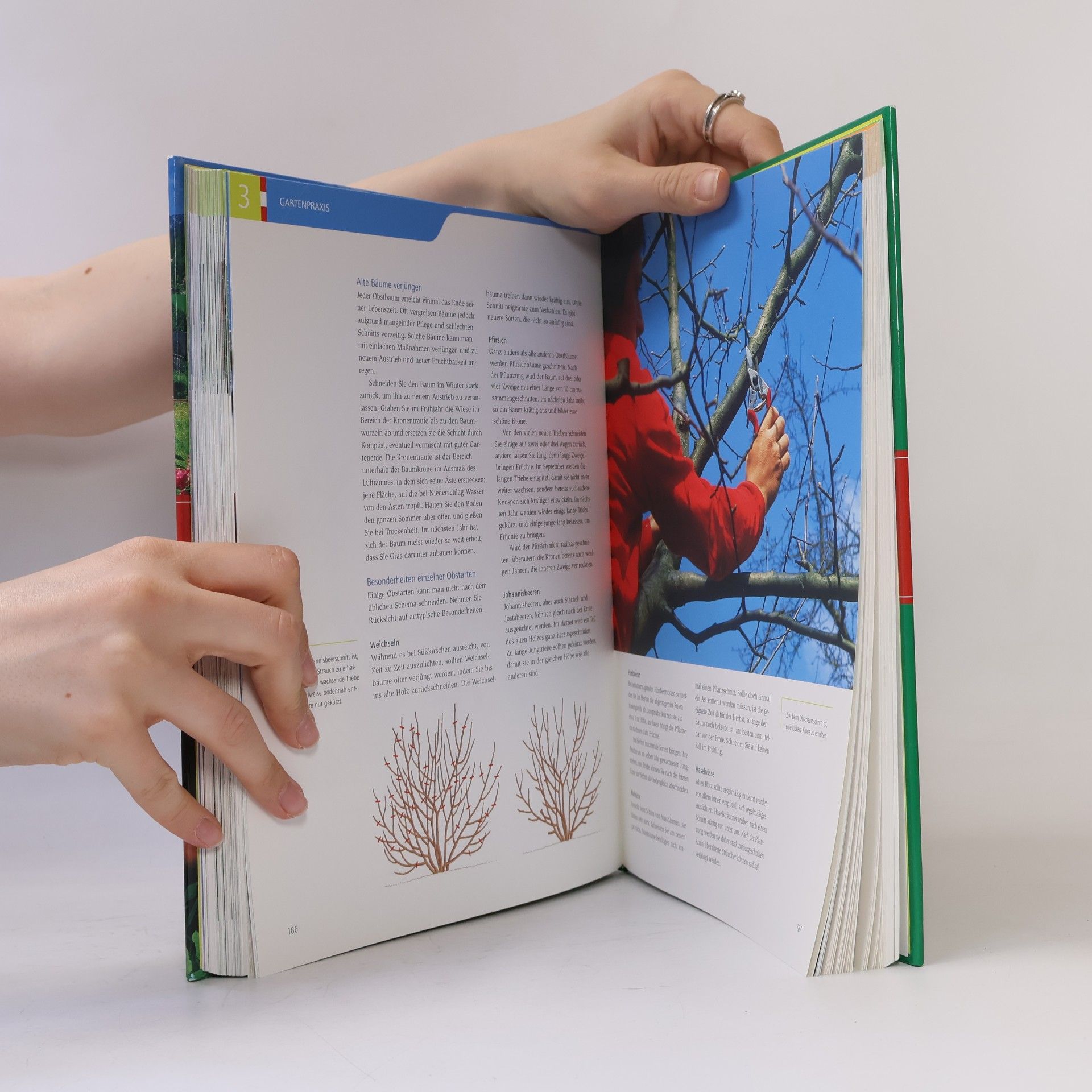 Various authors Das große österreichische Gartenbuch