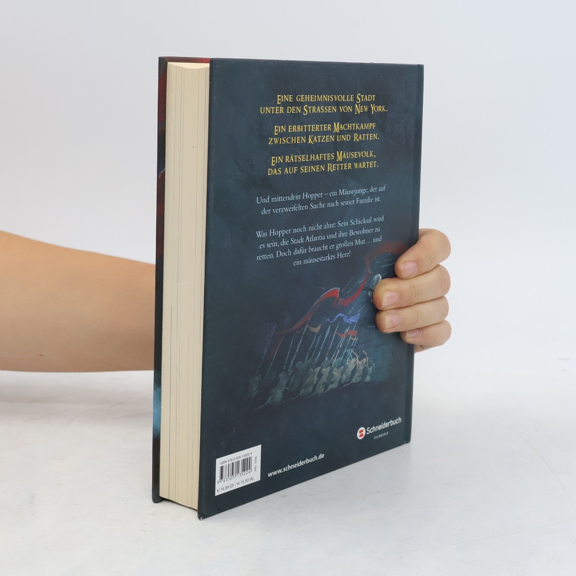 Lisa Fiedler Mouseheart: Die Prophezeiung der Mäuse
