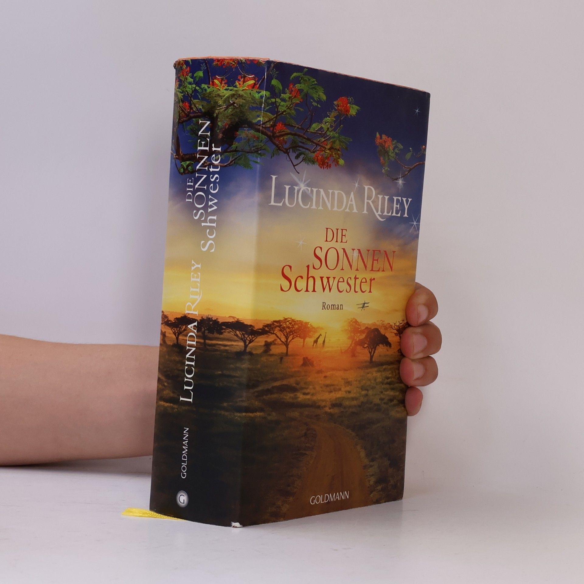 Lucinda Riley Die Sonnenschwester