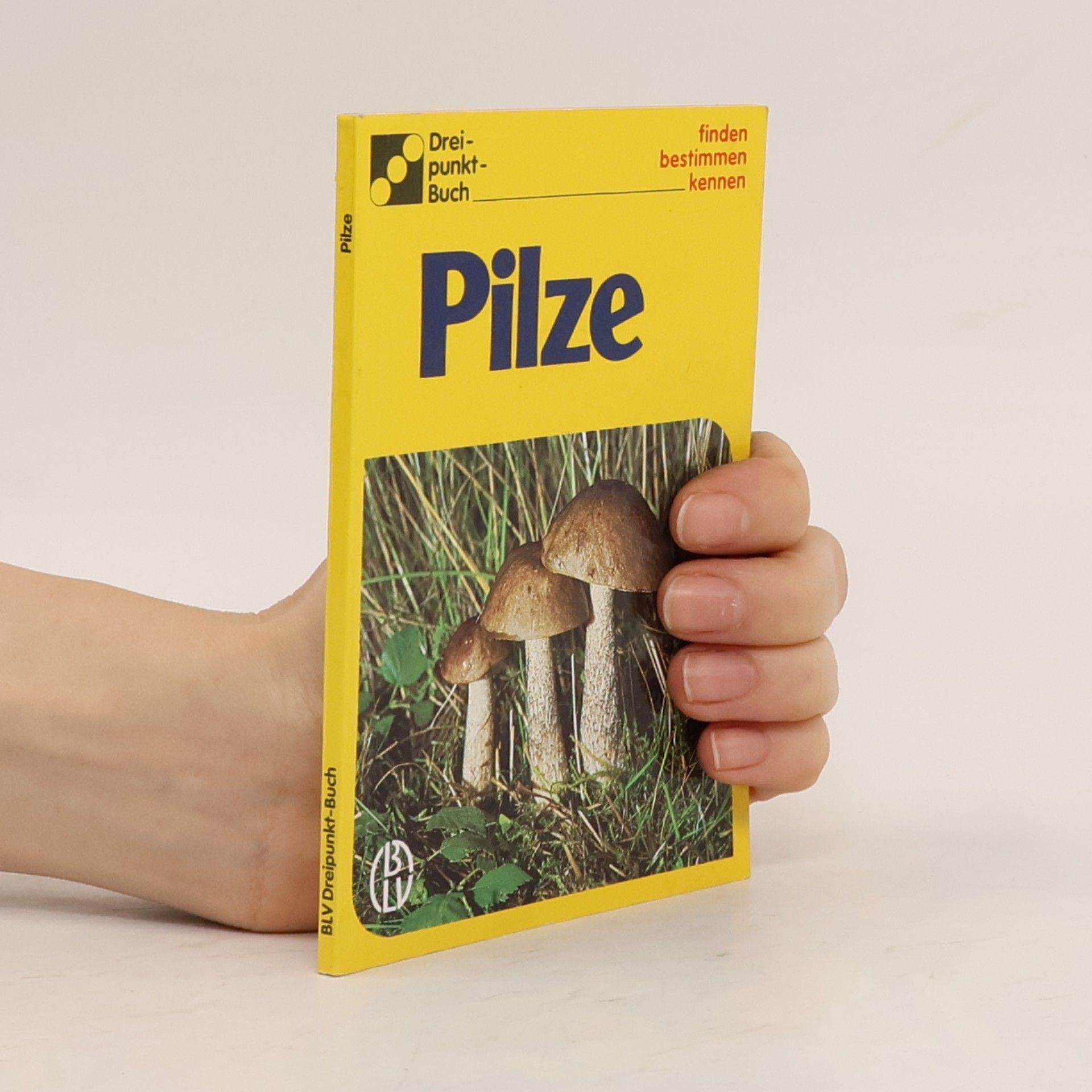 Alfred Handel Pilze
