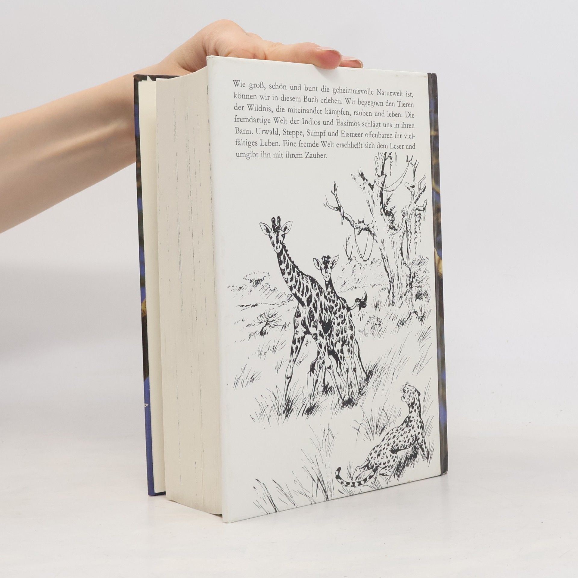 Hugo Kocher Das große Buch der Tiergeschichten