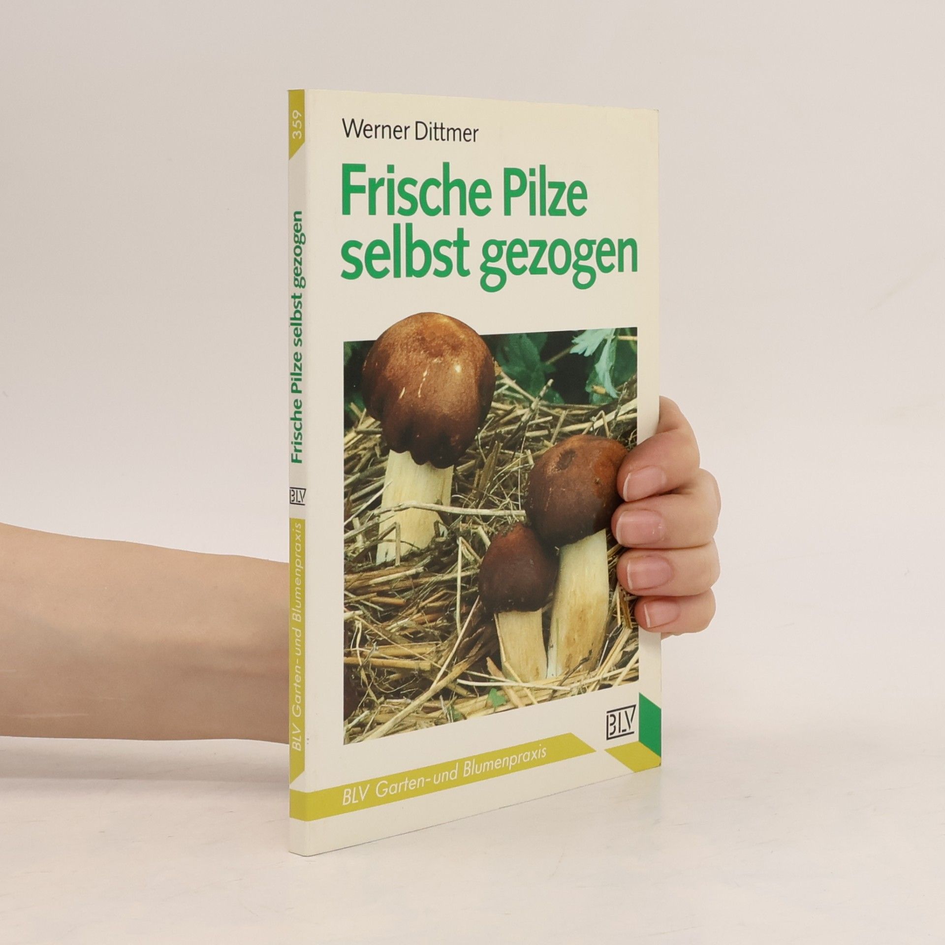 Frische Pilze selbst gezogen