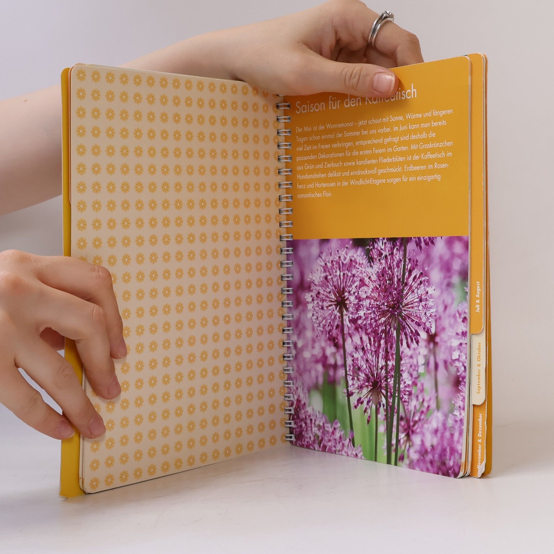 Autorenkollektiv Dekorieren mit Blumen und Pflanzen