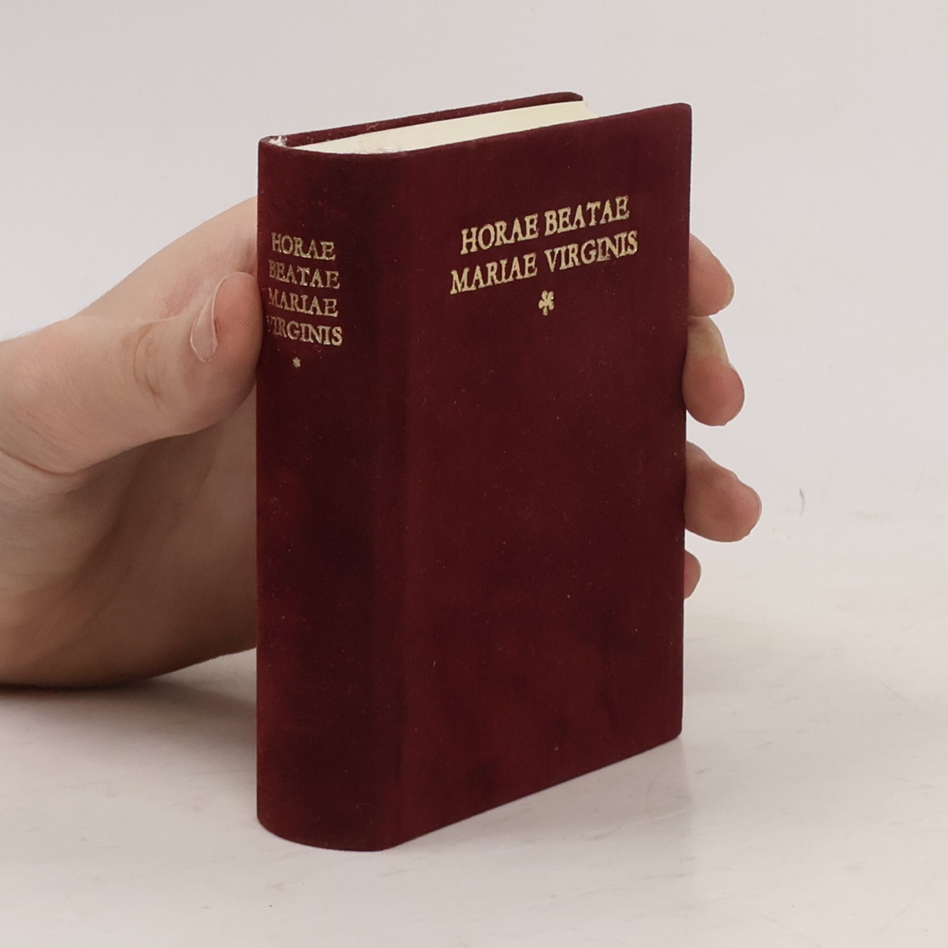 Collectif d'auteurs Horae Beatae Mariae Virginis