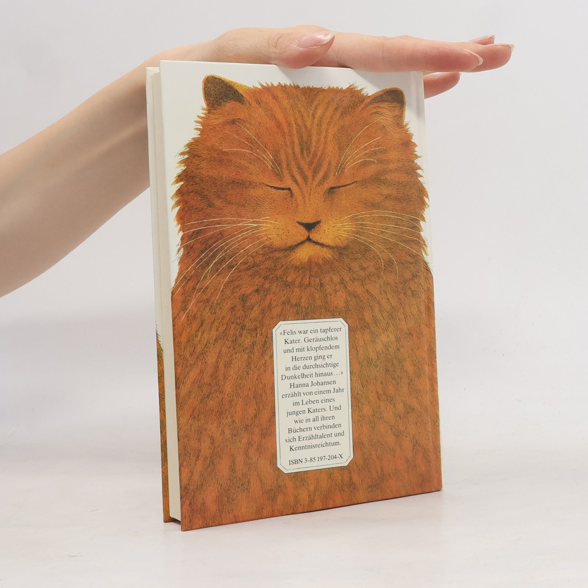 Hanna Muchg Johansen Felis, Felis :