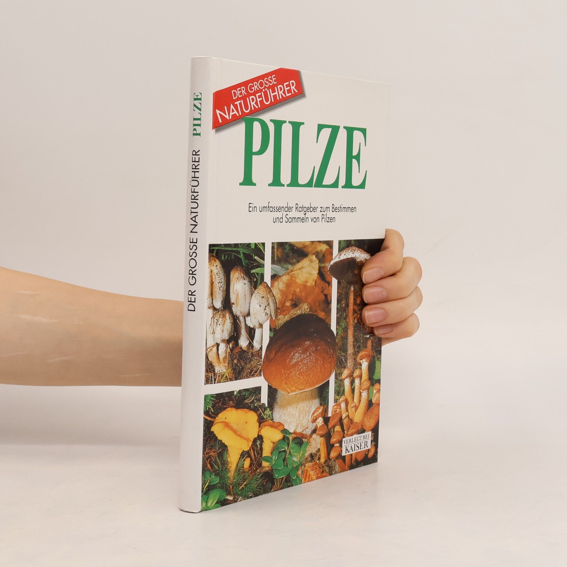 Kolektiv autorů Pilze. Ein umfassender Ratgeber zum Bestimmen und Sammeln von Pilzen.