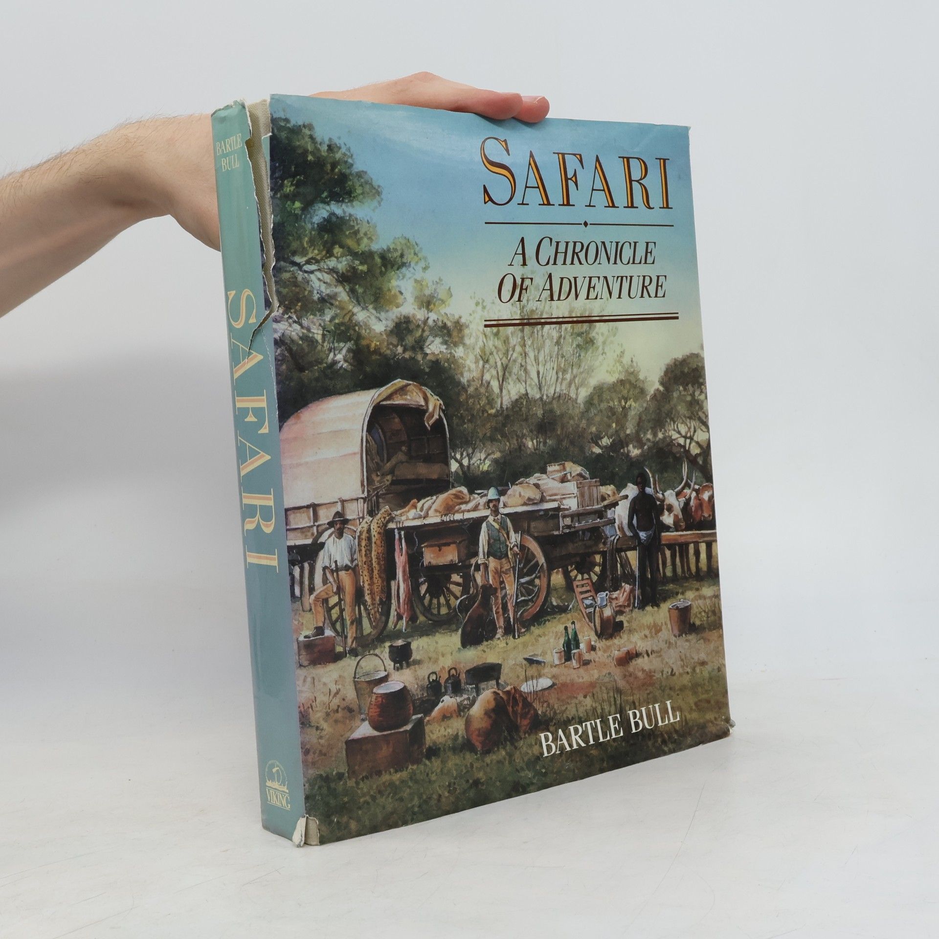 Safari