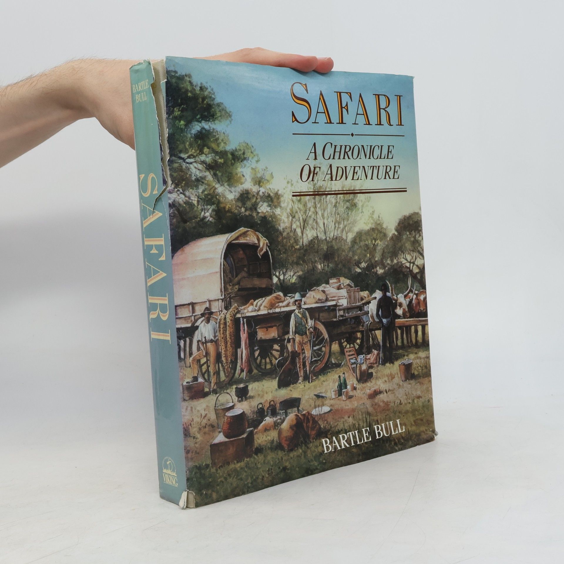 Bartle Bull Safari
