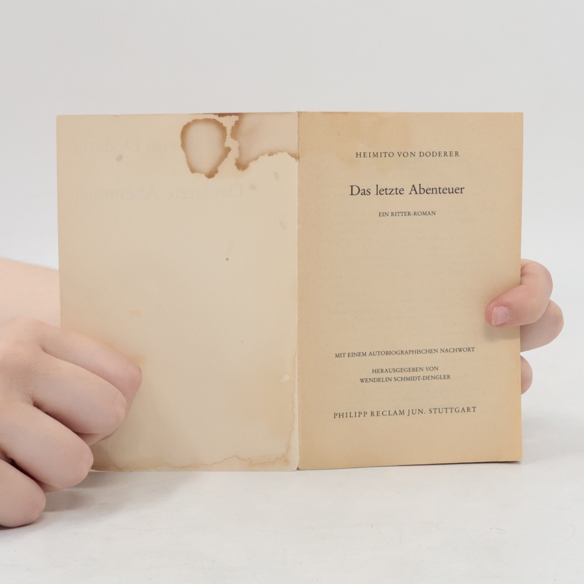 Heimito von Doderer Das letzte Abenteuer