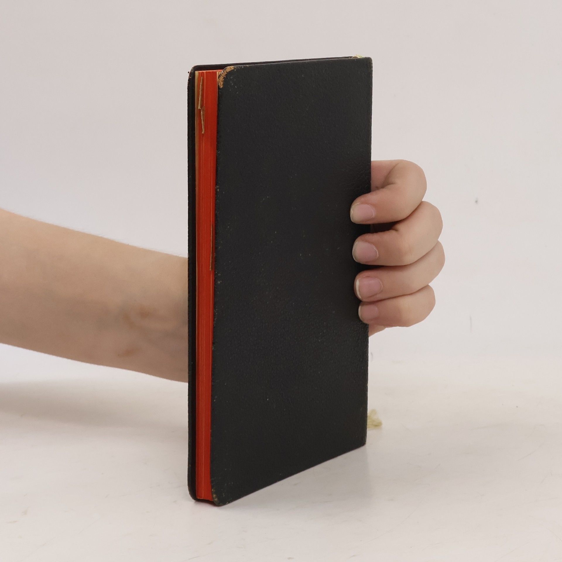 Collectif d'auteurs Manuale de Cura Infirmorum