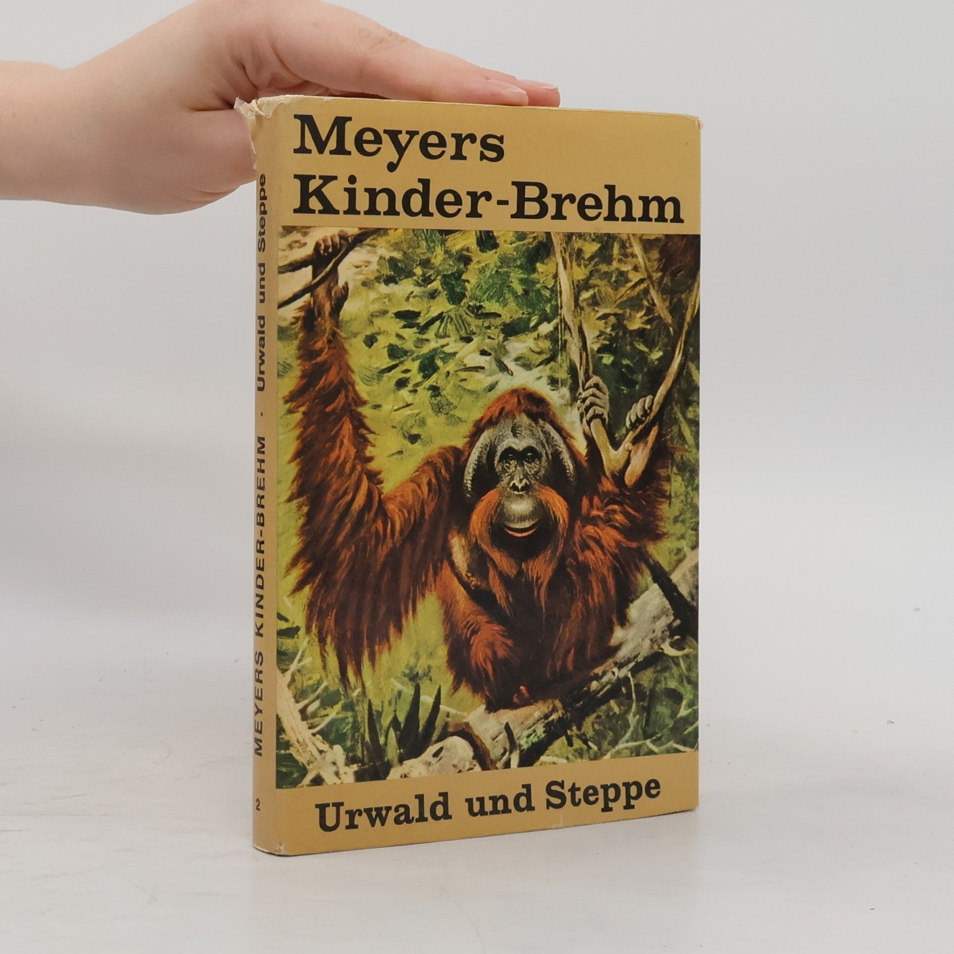 Gerolf Alschner Meyers Kinder-Brehm 2: Urwald und Steppe