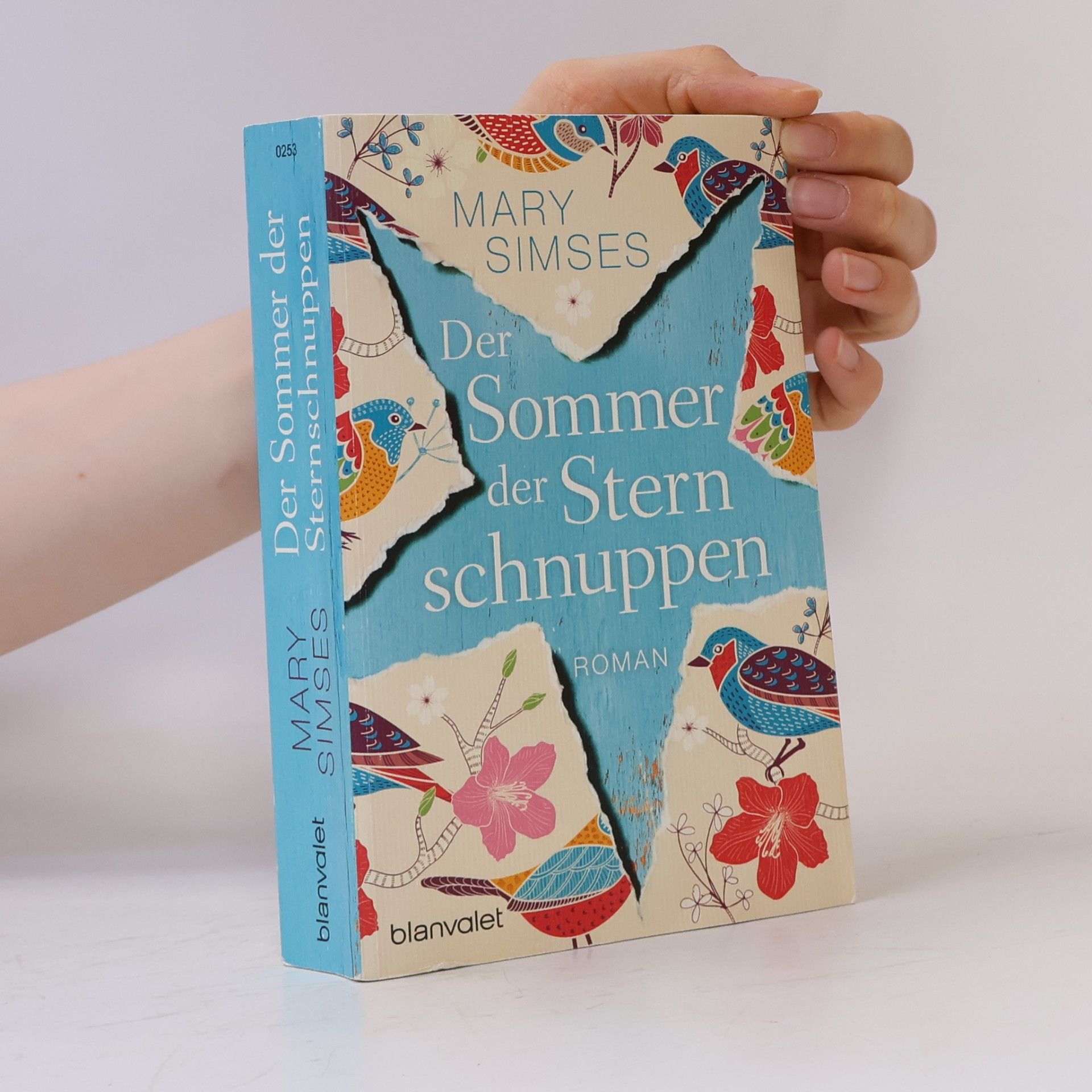 Mary Simses Der Sommer der Sternschnuppen