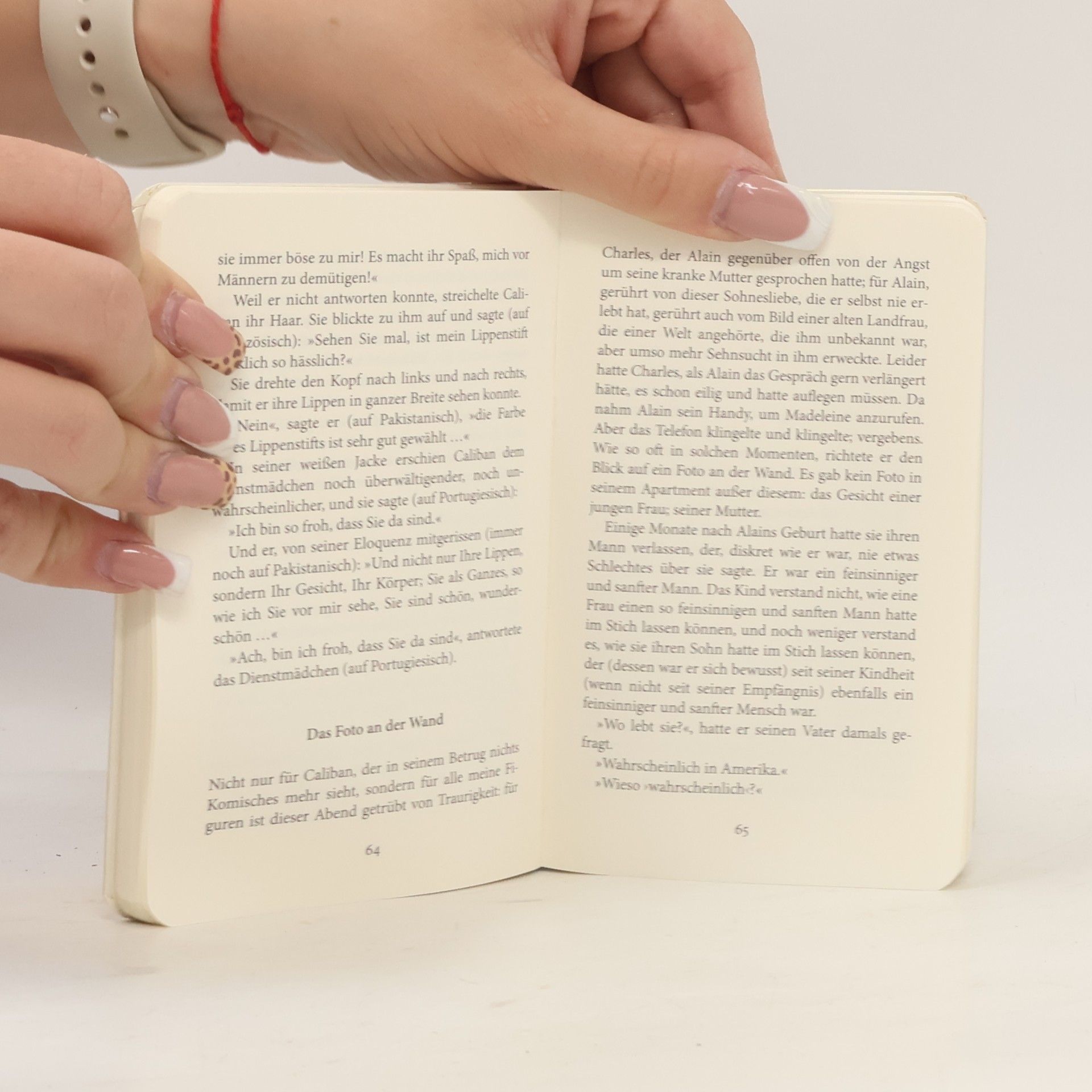 Milan Kundera Das Fest der Bedeutungslosigkeit