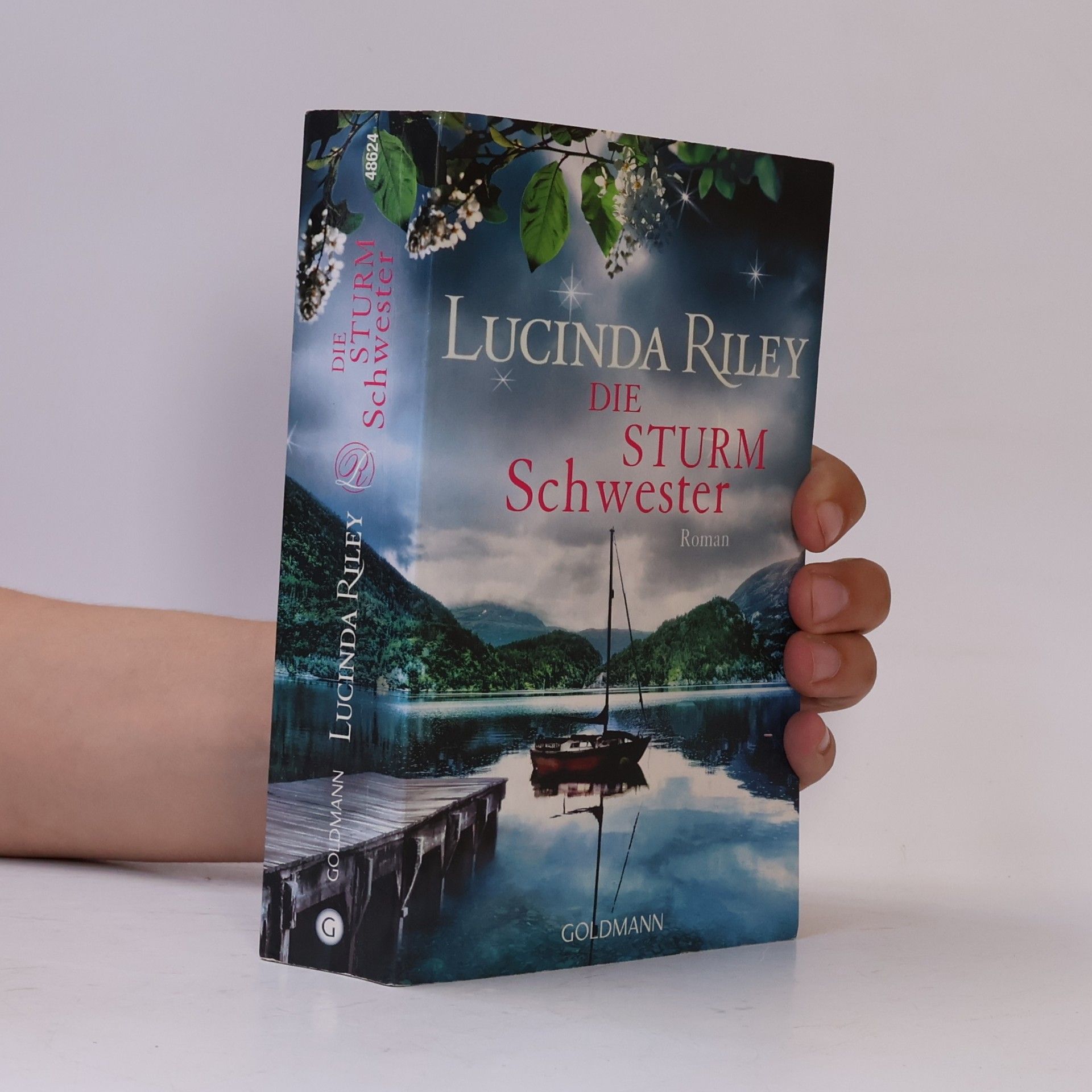 Lucinda Riley Die Sturmschwester