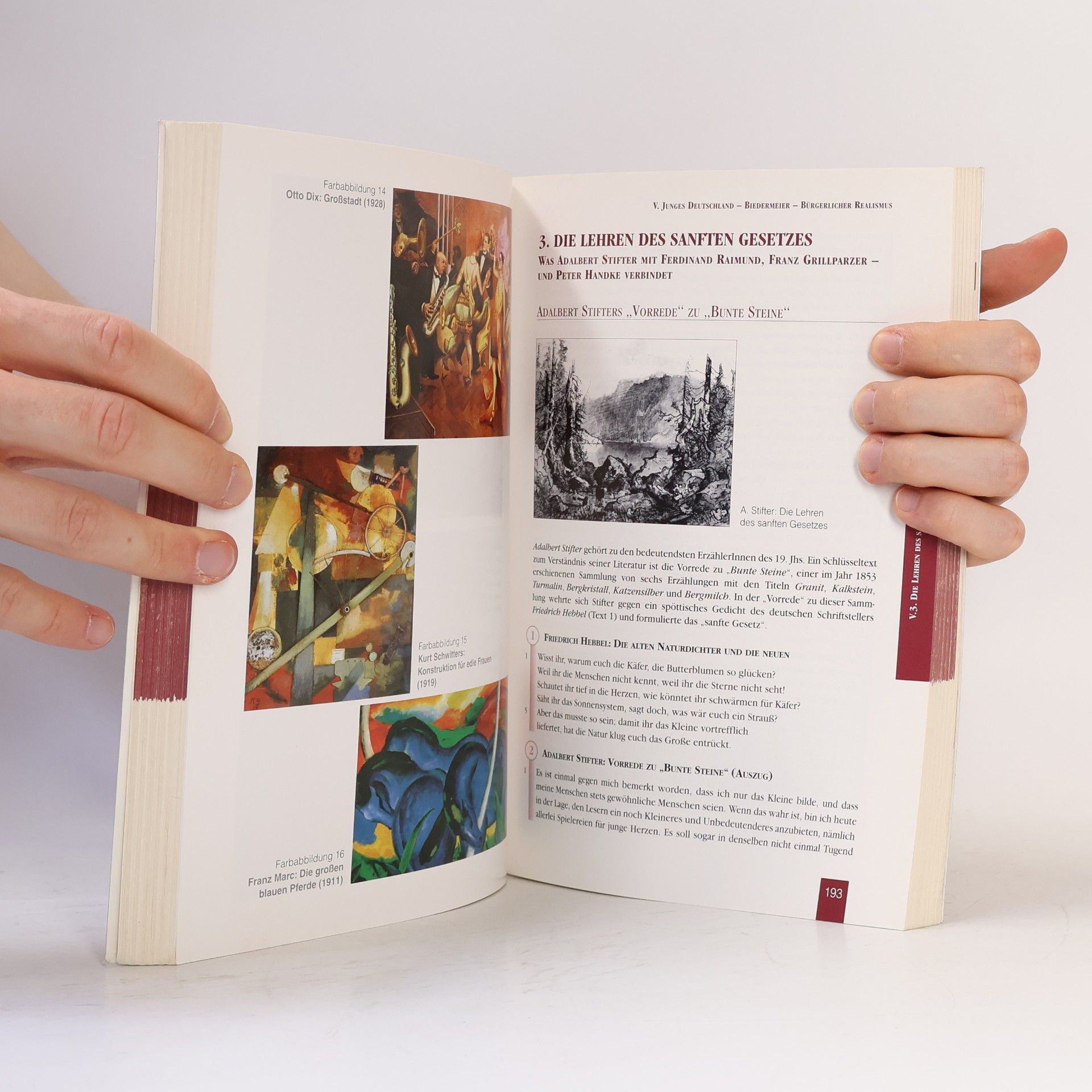 Christian Schacherreiter Das Literaturbuch 1. 70 Fenster zur Literatur